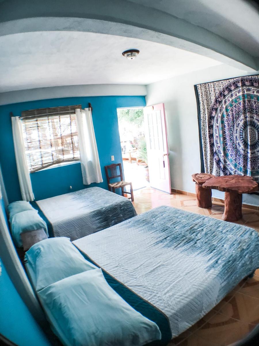 Classic Quadruple Room photo 1