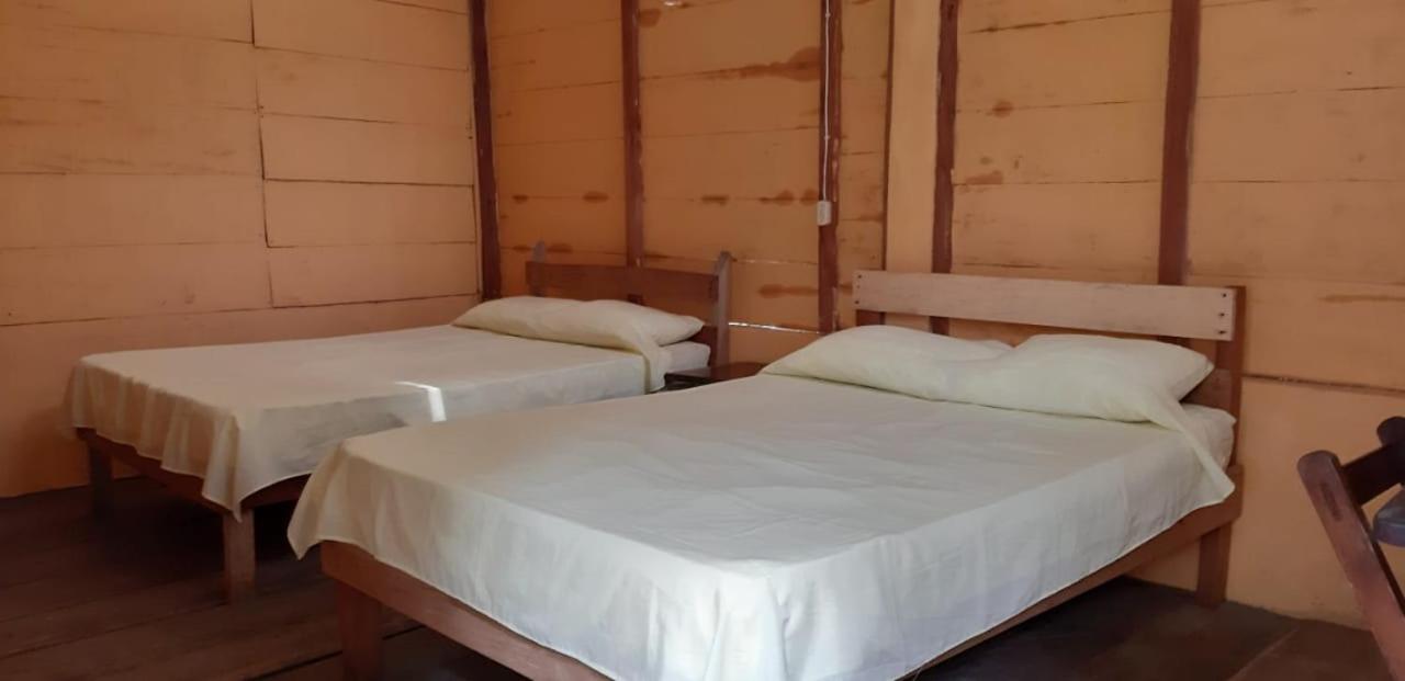 Twin Room photo 3