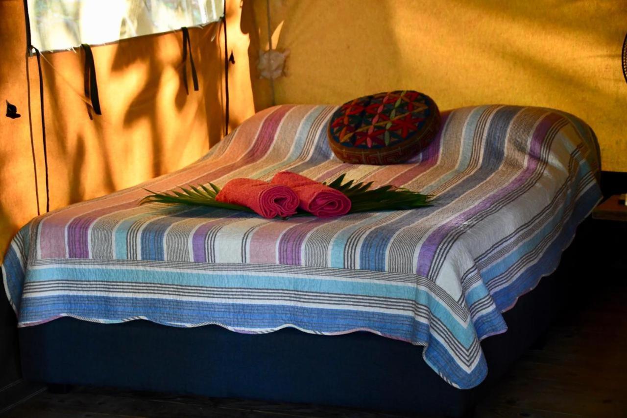 Double Room with Terrace photo 1