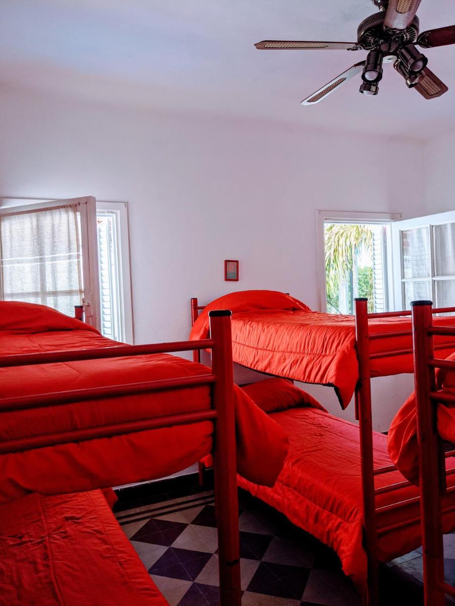 Bed in 6-Bed Mixed Dormitory Room photo 2