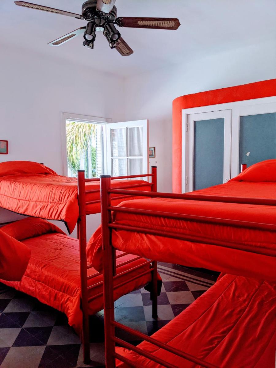Bed in 6-Bed Mixed Dormitory Room photo 1