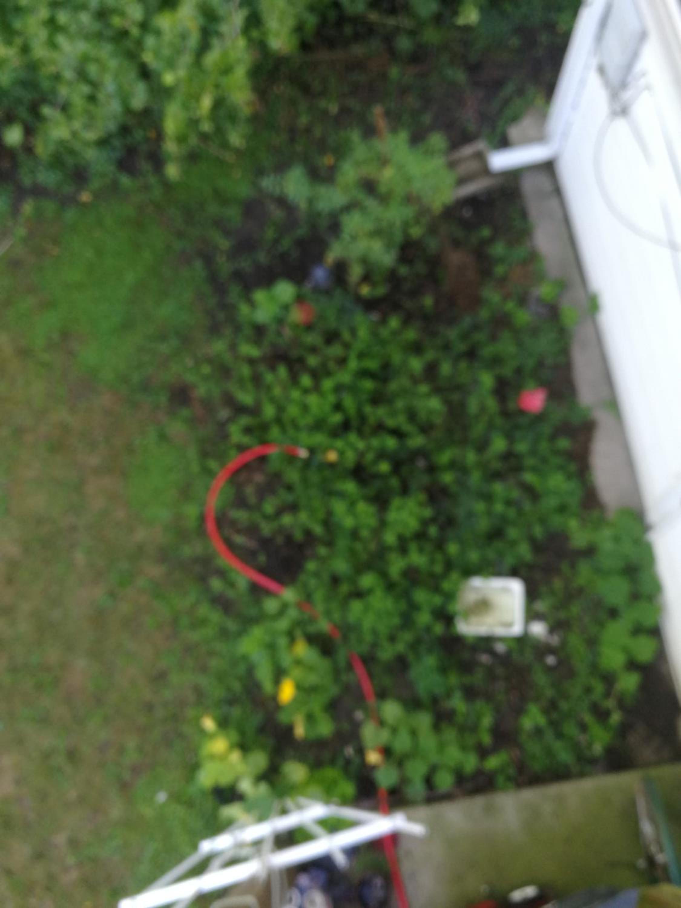 Single Room with Garden View