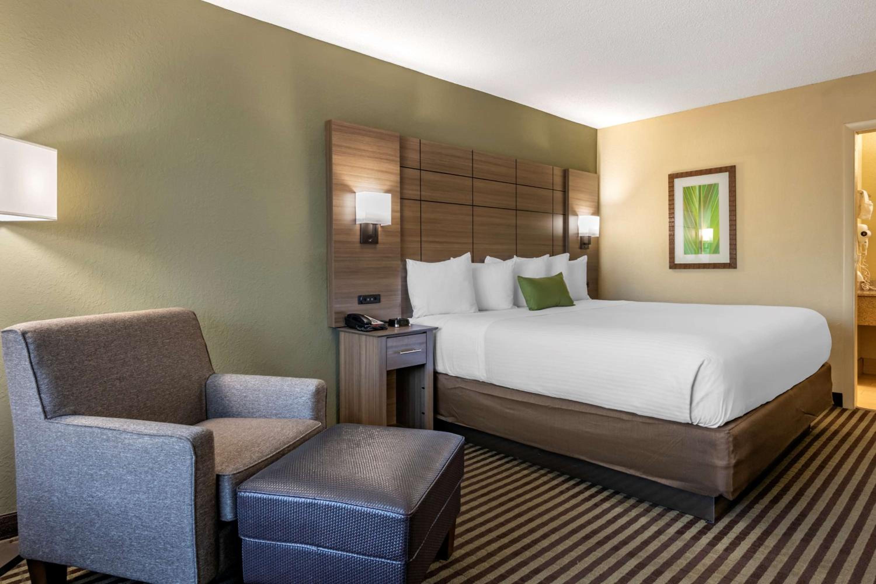 King Room - Photo 5