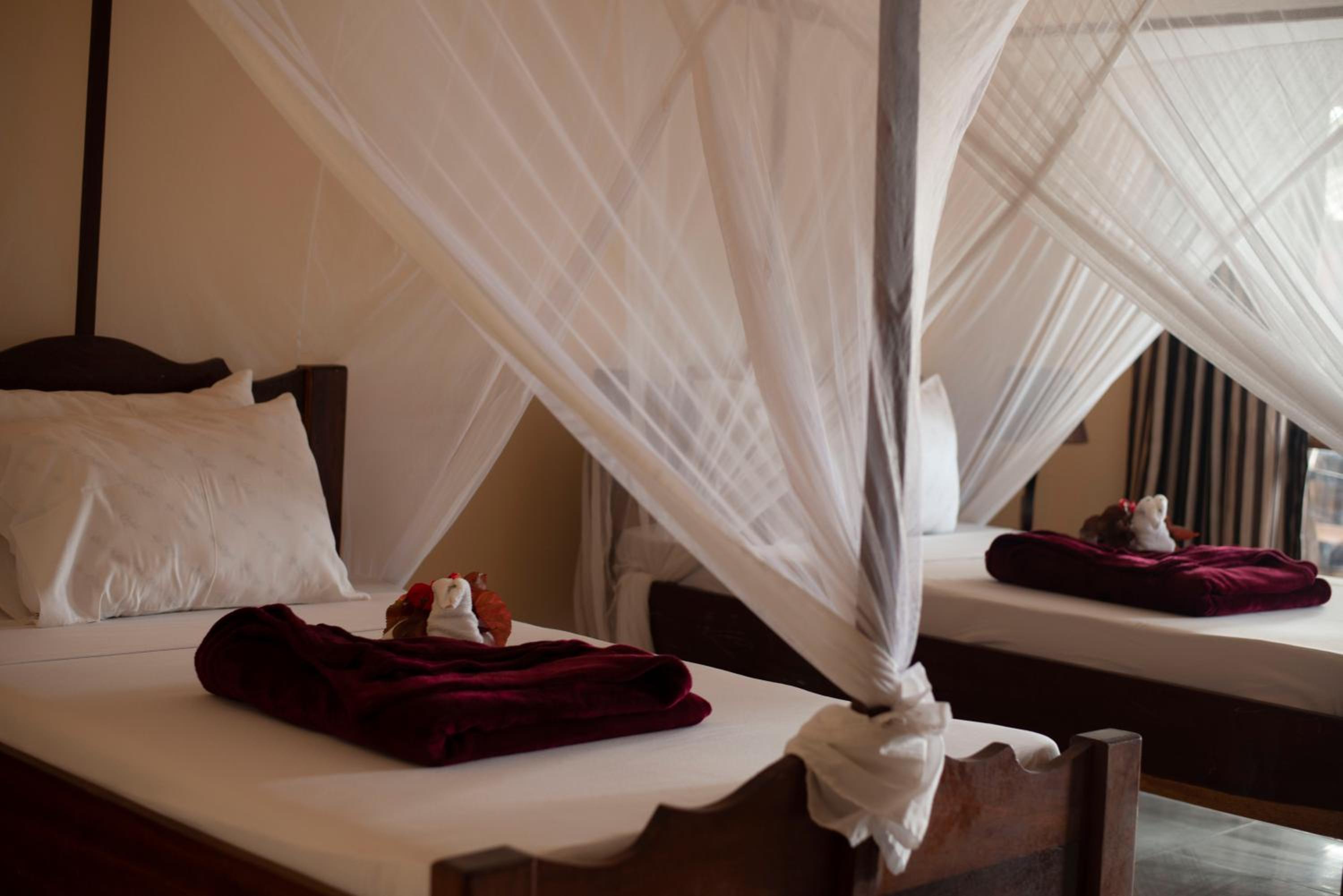 Double Room with Sea View photo 1