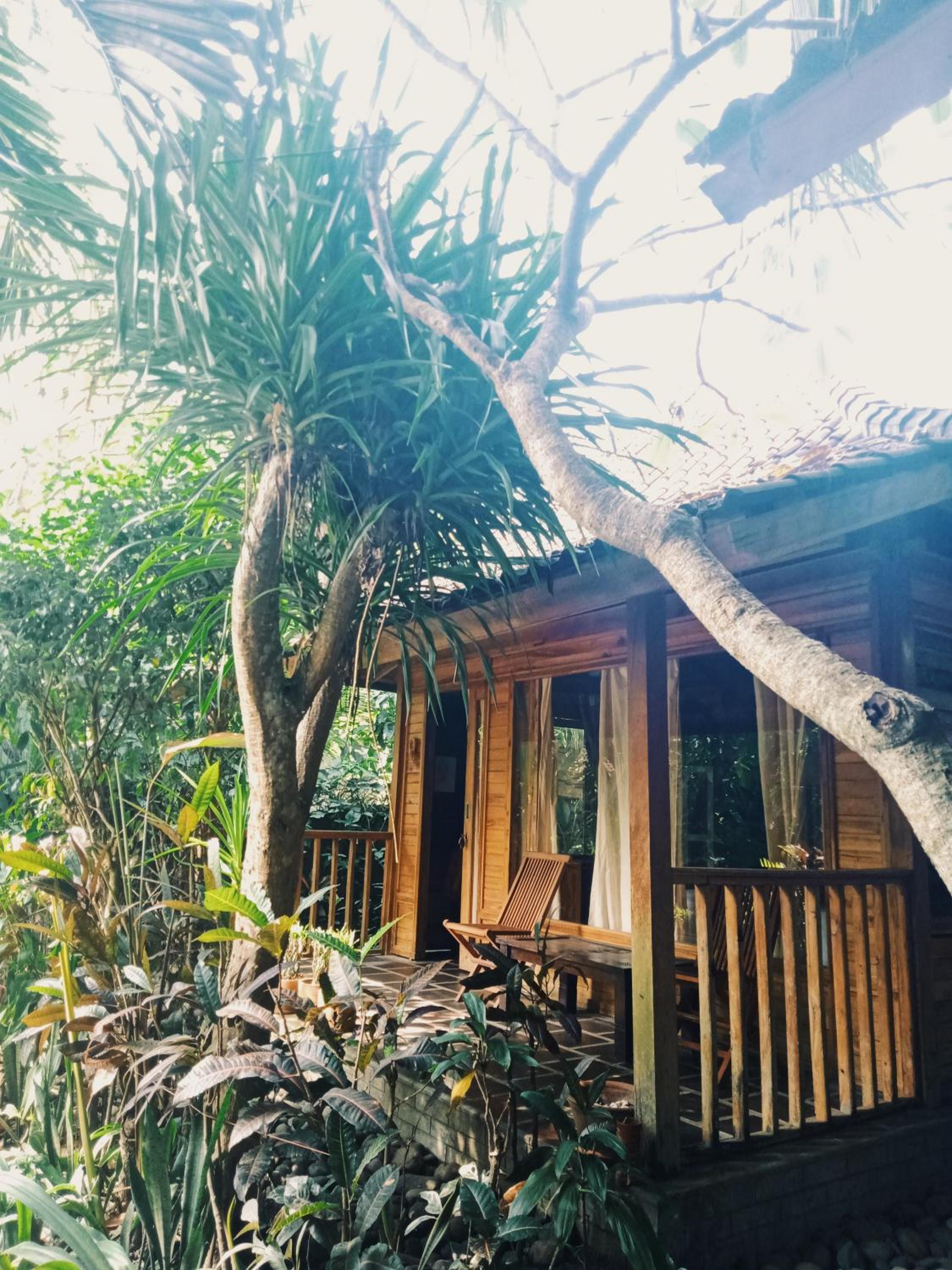 Deluxe Double or Twin Room with Garden View - Photo 3