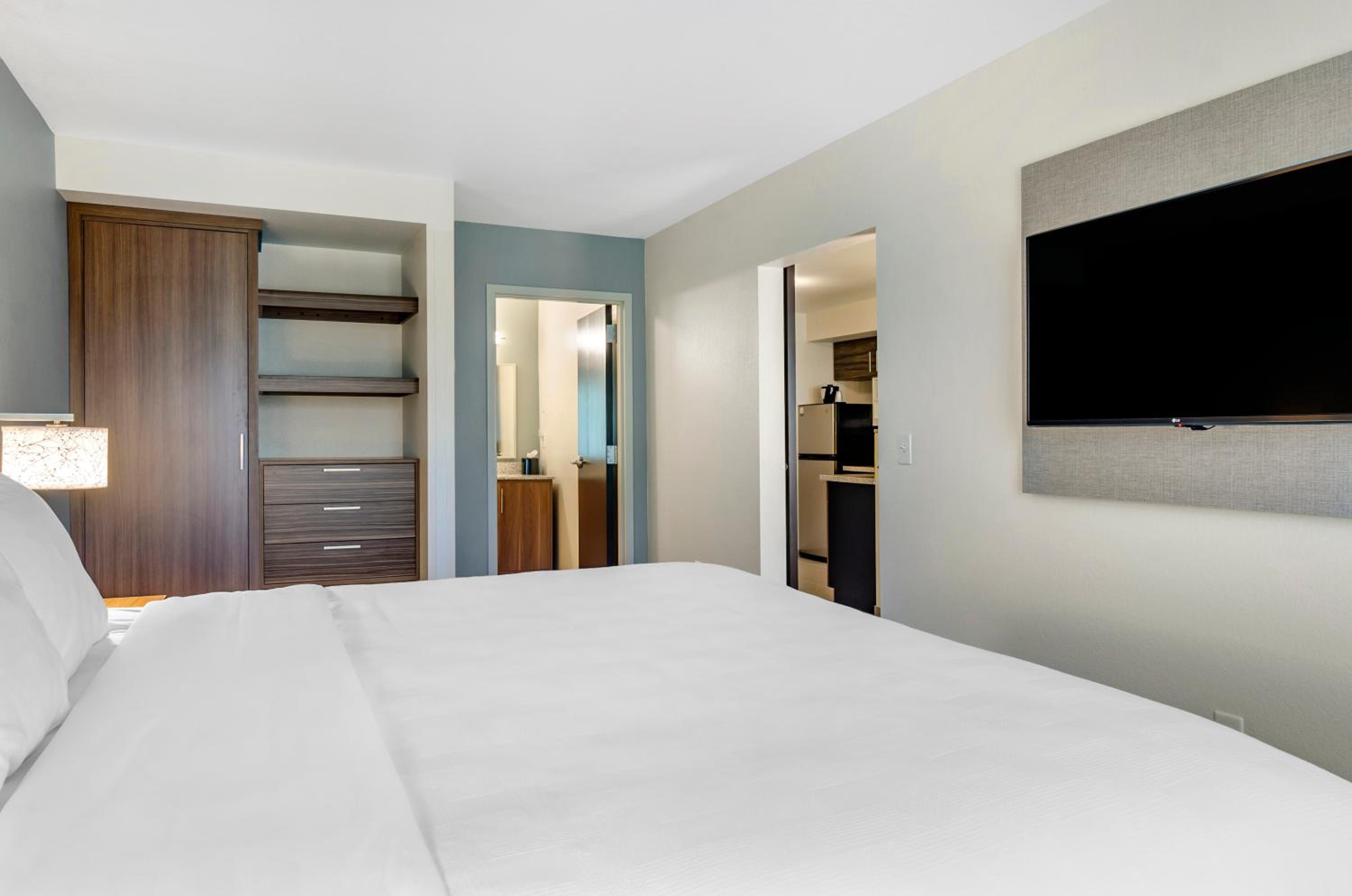 Deluxe Efficiency King Suite with Sofa-Bed and Roll-In Shower  - Accessible/Non-Smoking photo 1