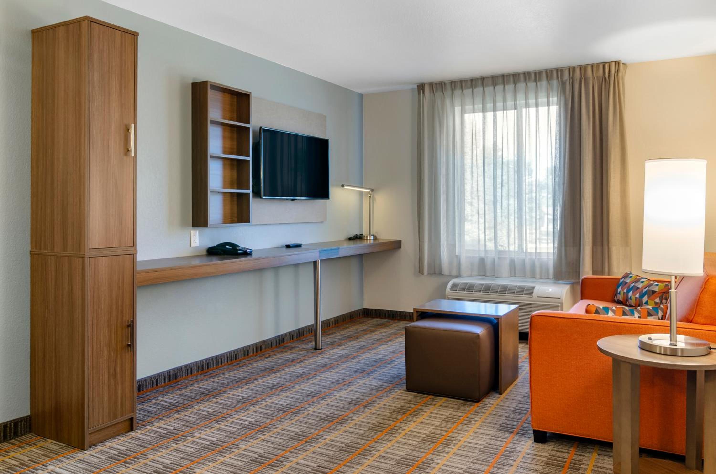 Deluxe Efficiency King Suite with Sofa-Bed and Roll-In Shower  - Accessible/Non-Smoking photo 3