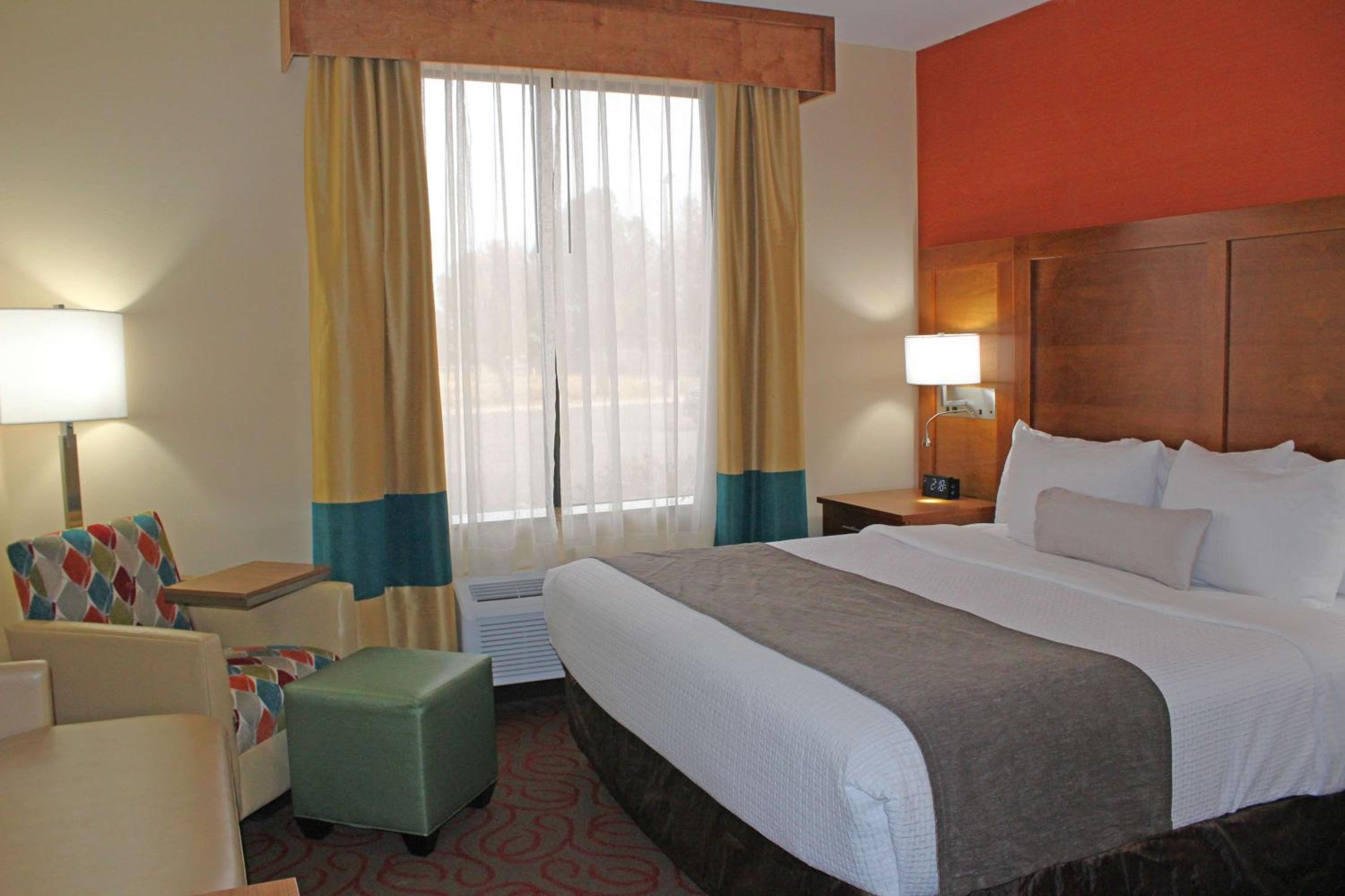 King Suite with Sofa Bed - Non-Smoking - Photo 1