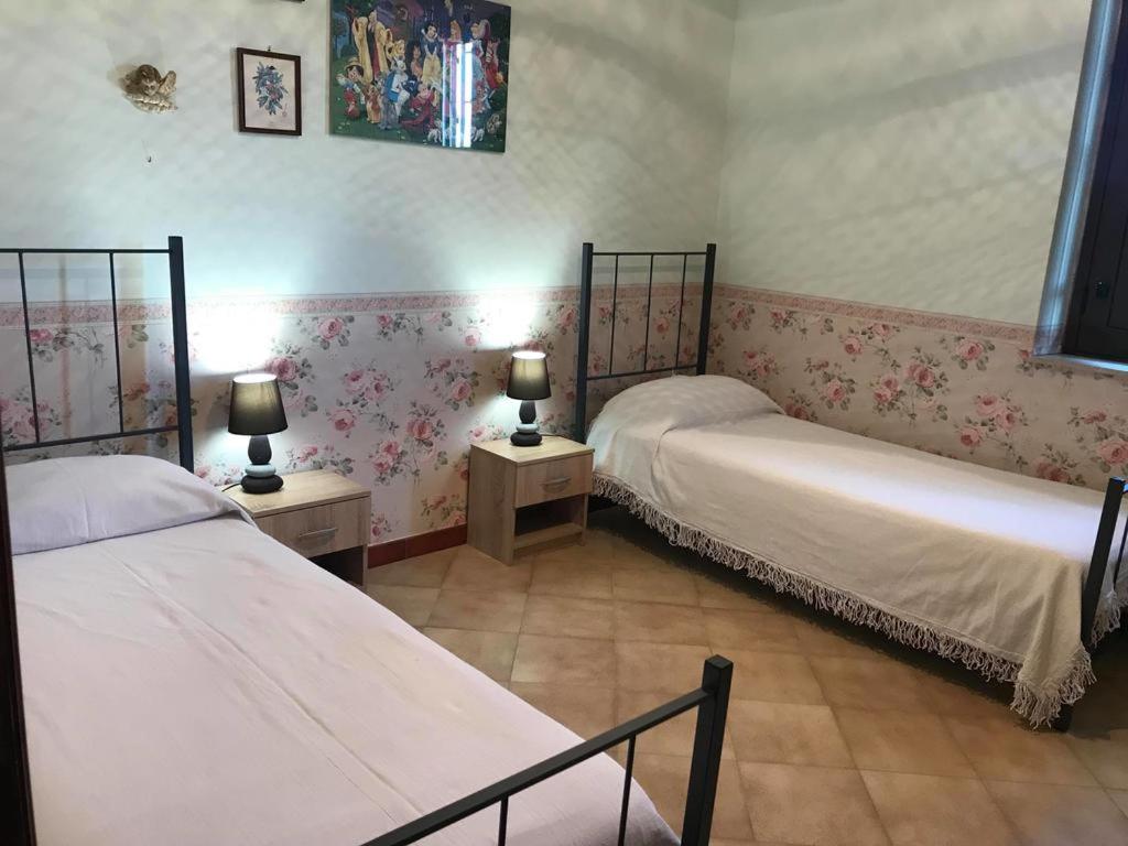 Twin Room photo 2