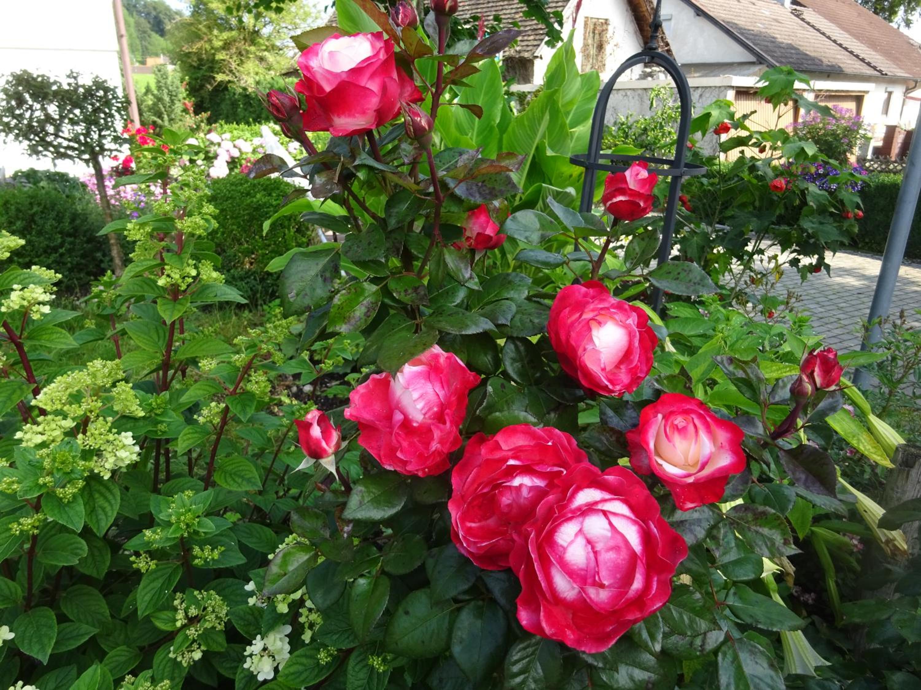 Appartamento di vacanza Irene Dorn // Andechs, Foto 13