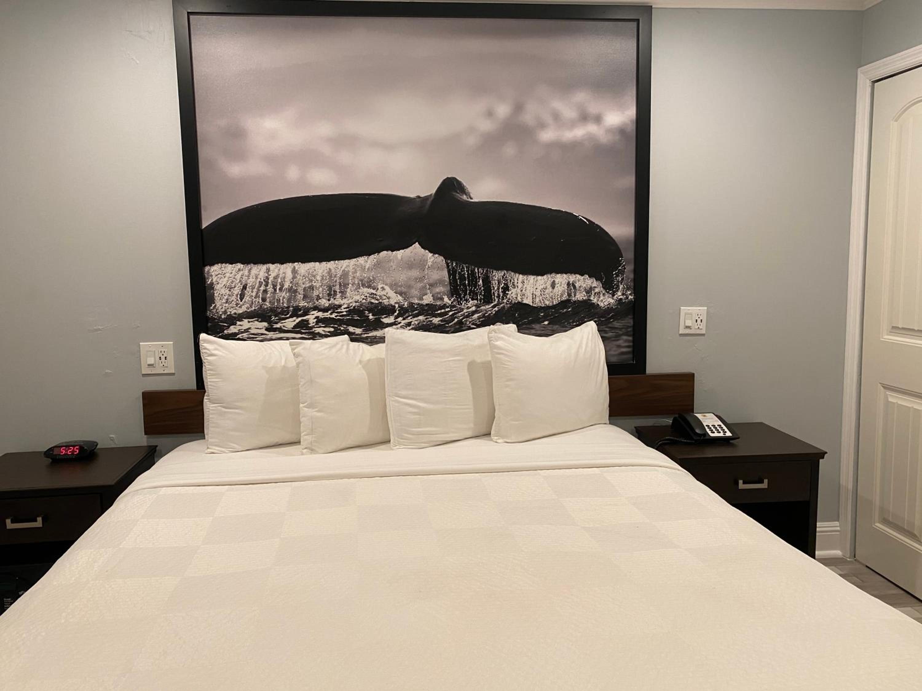 King Room - Non-Smoking - Photo 1