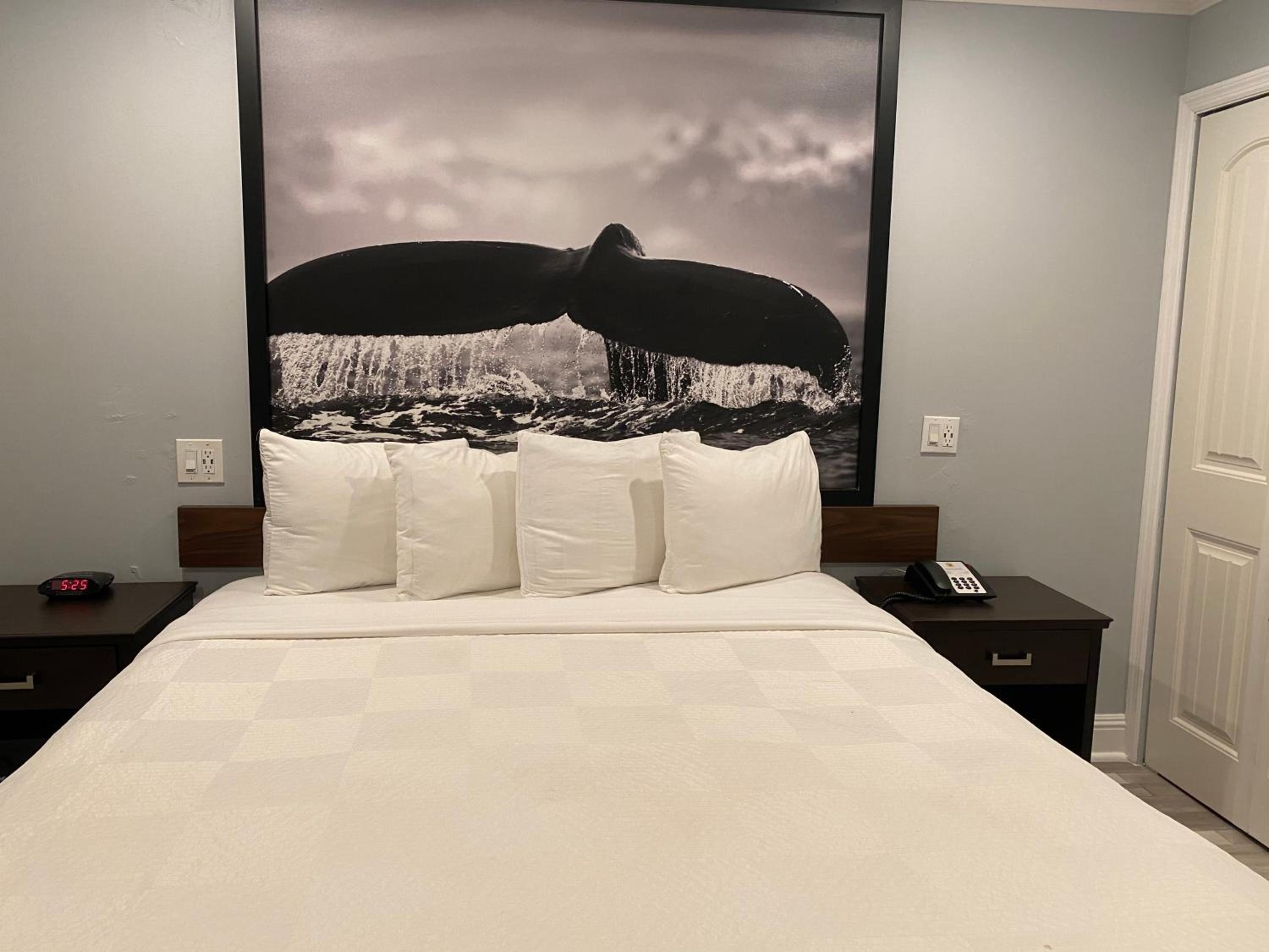 King Room - Non-Smoking - Photo 2