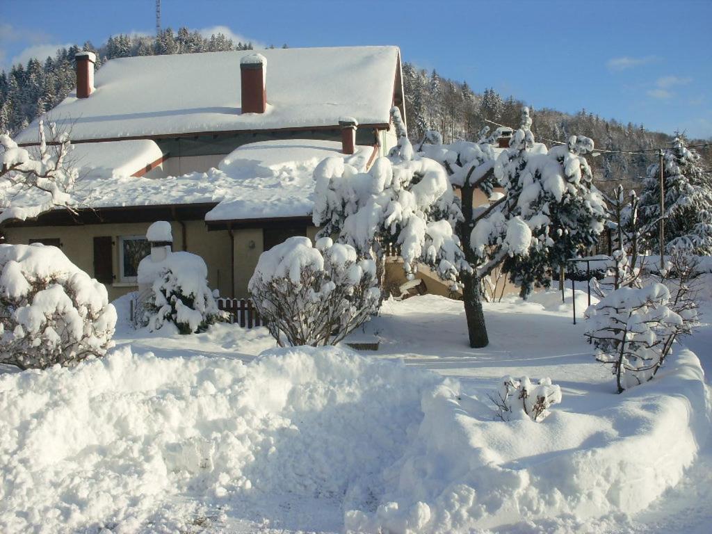Small House photo 3