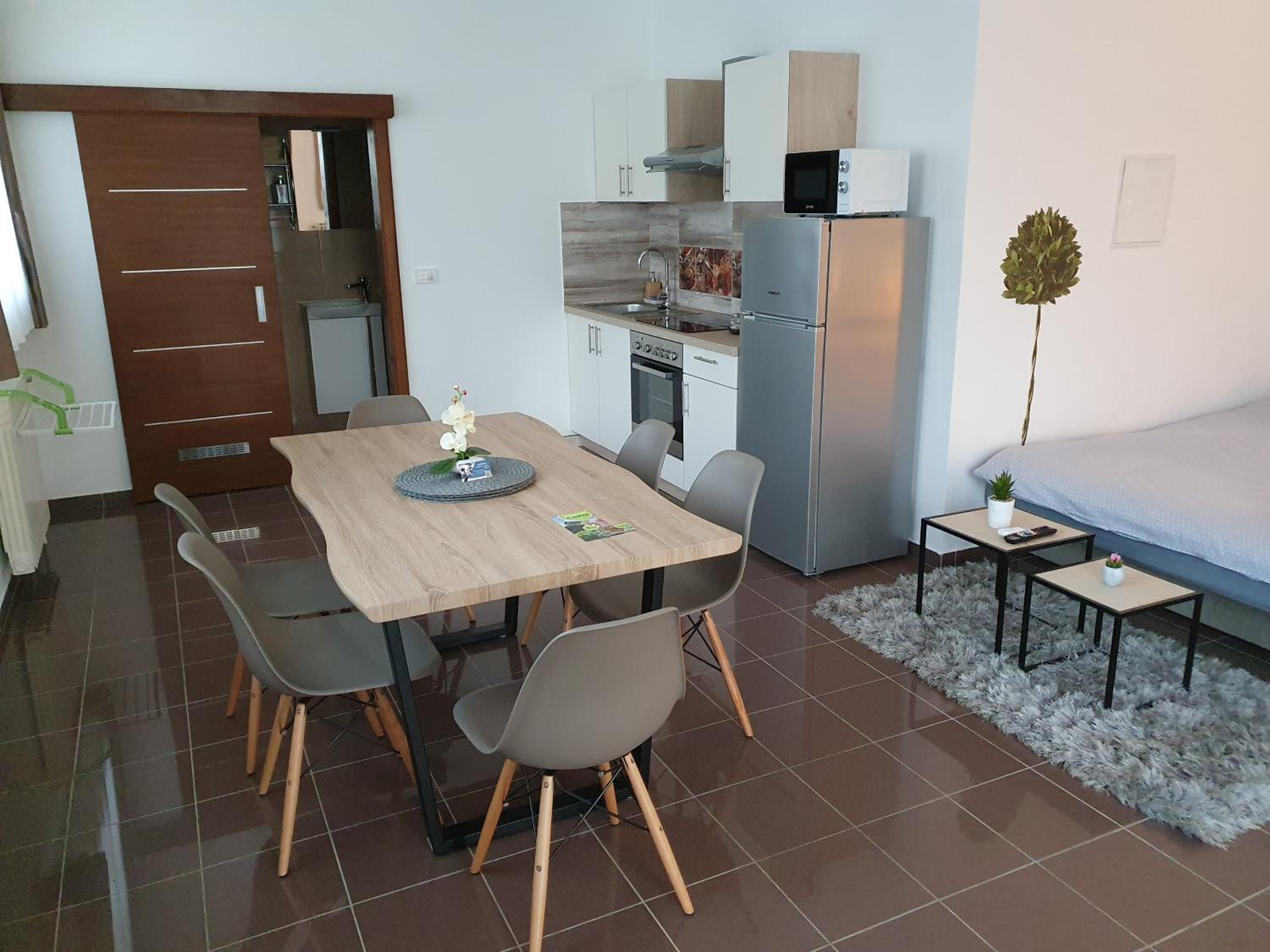 Studio Apartment photo 1
