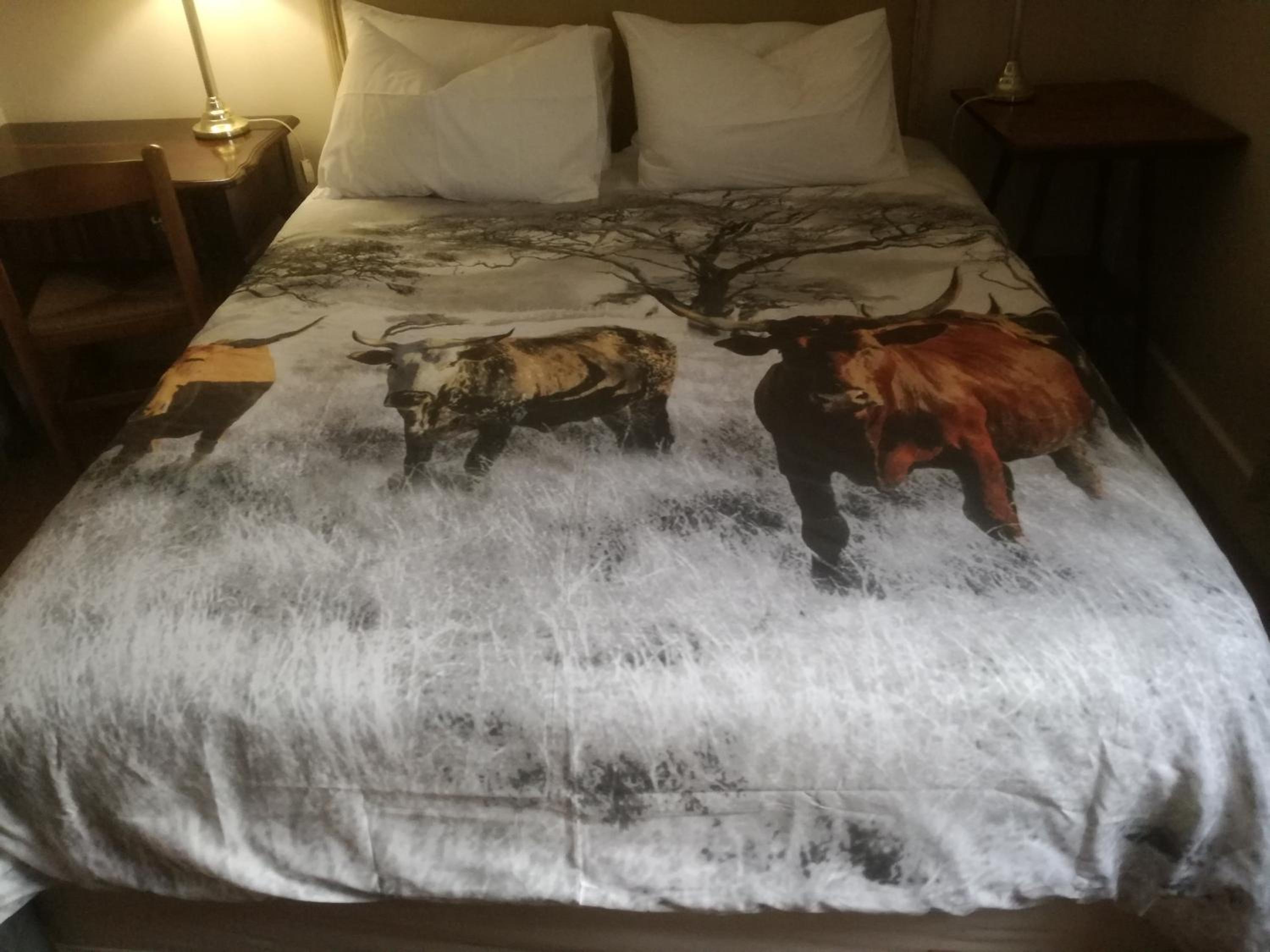 Double Room with Private Bathroom photo 2
