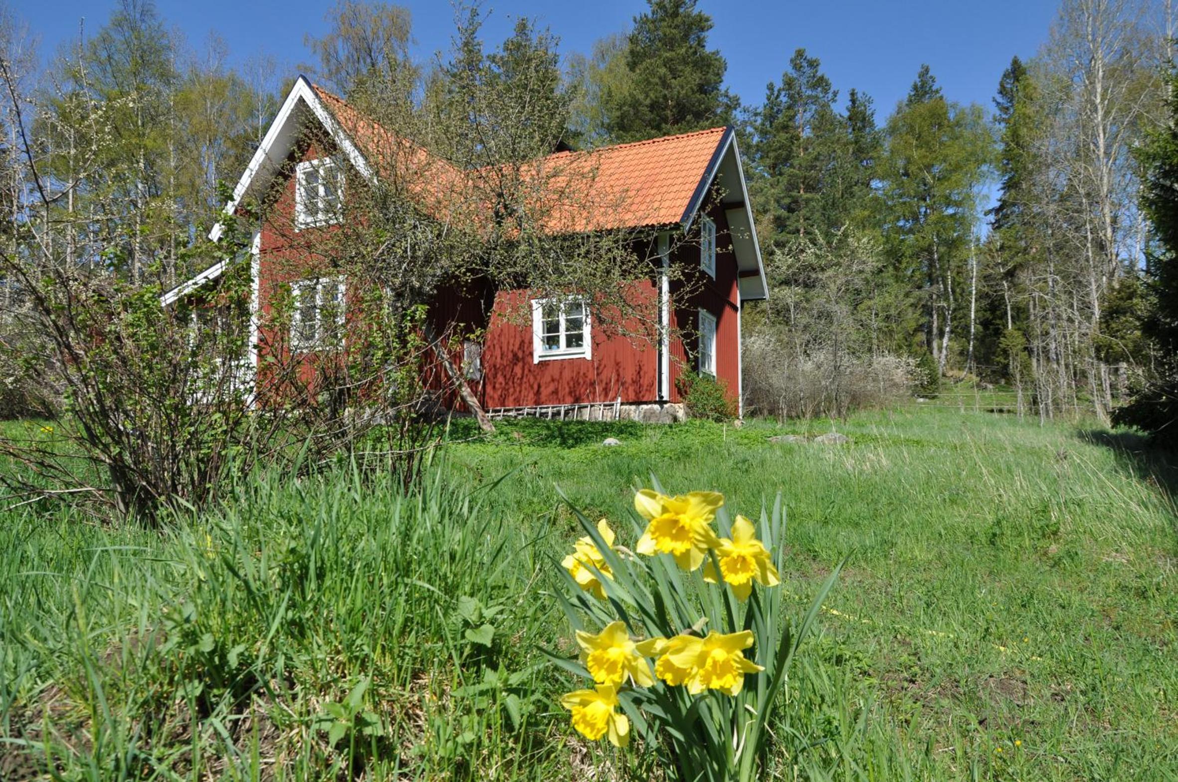 Three-Bedroom House photo 3