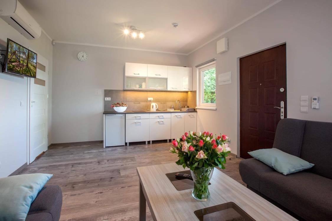 One-Bedroom House photo 3
