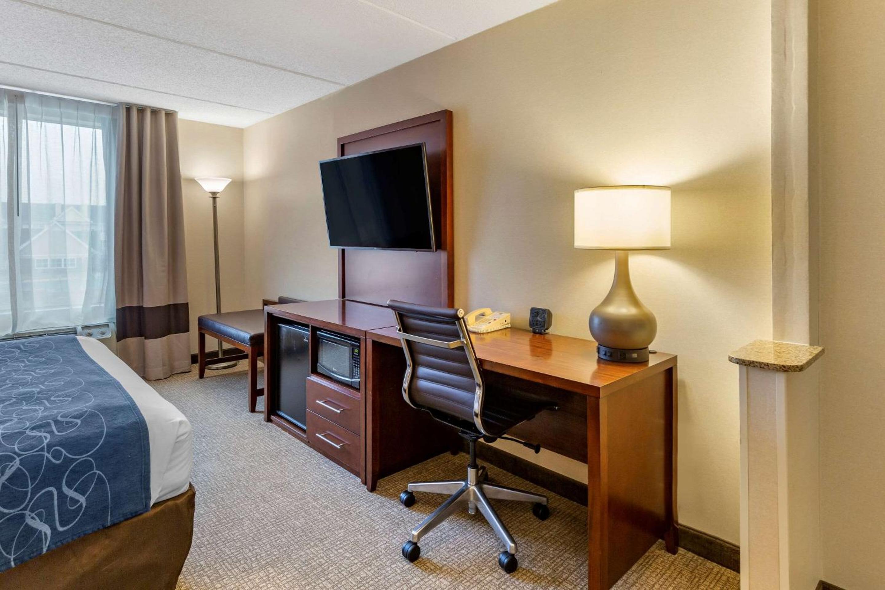 King Suite - Photo 3
