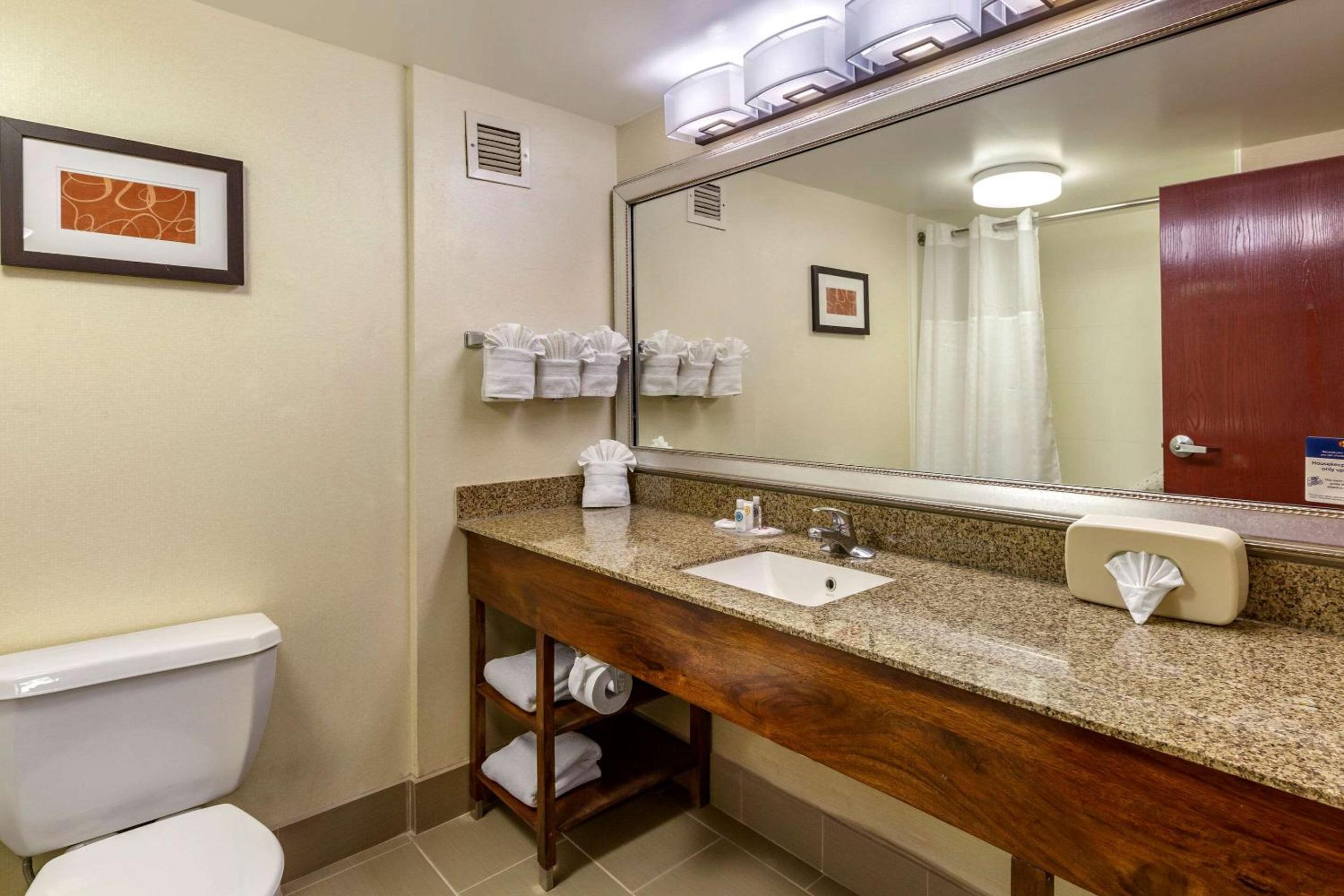King Suite - Non-Smoking - Photo 5