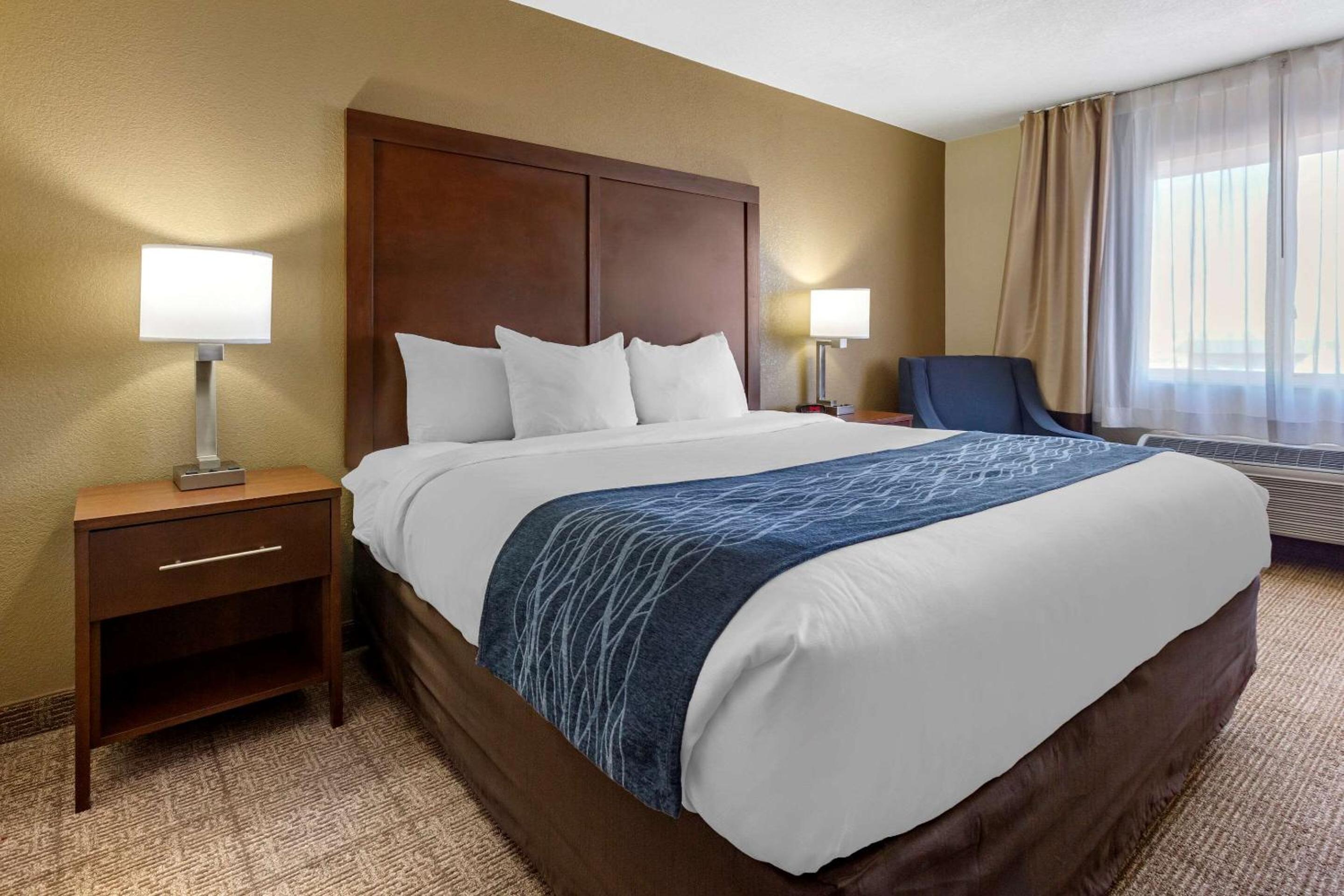 King Room photo 1