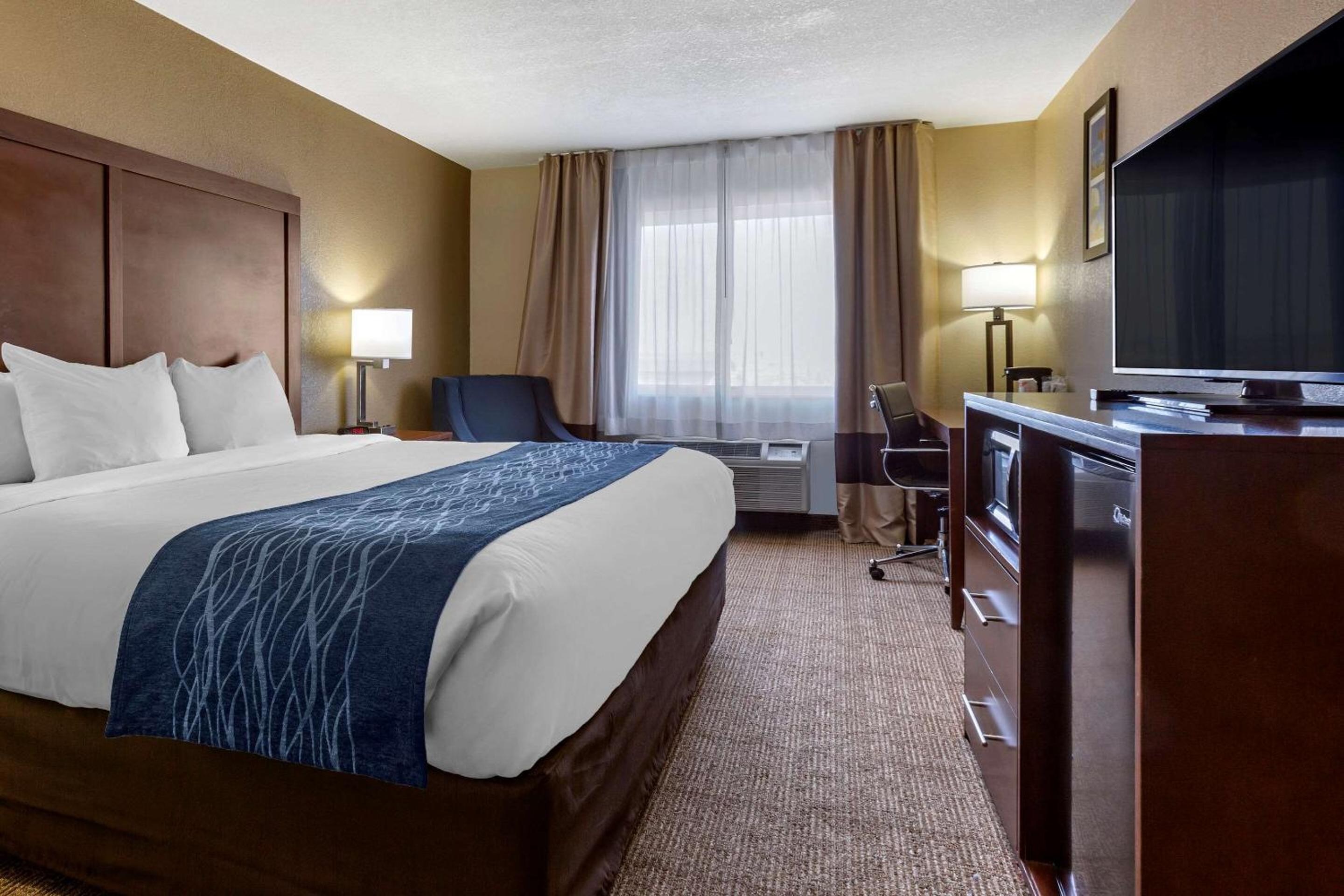 King Room photo 2
