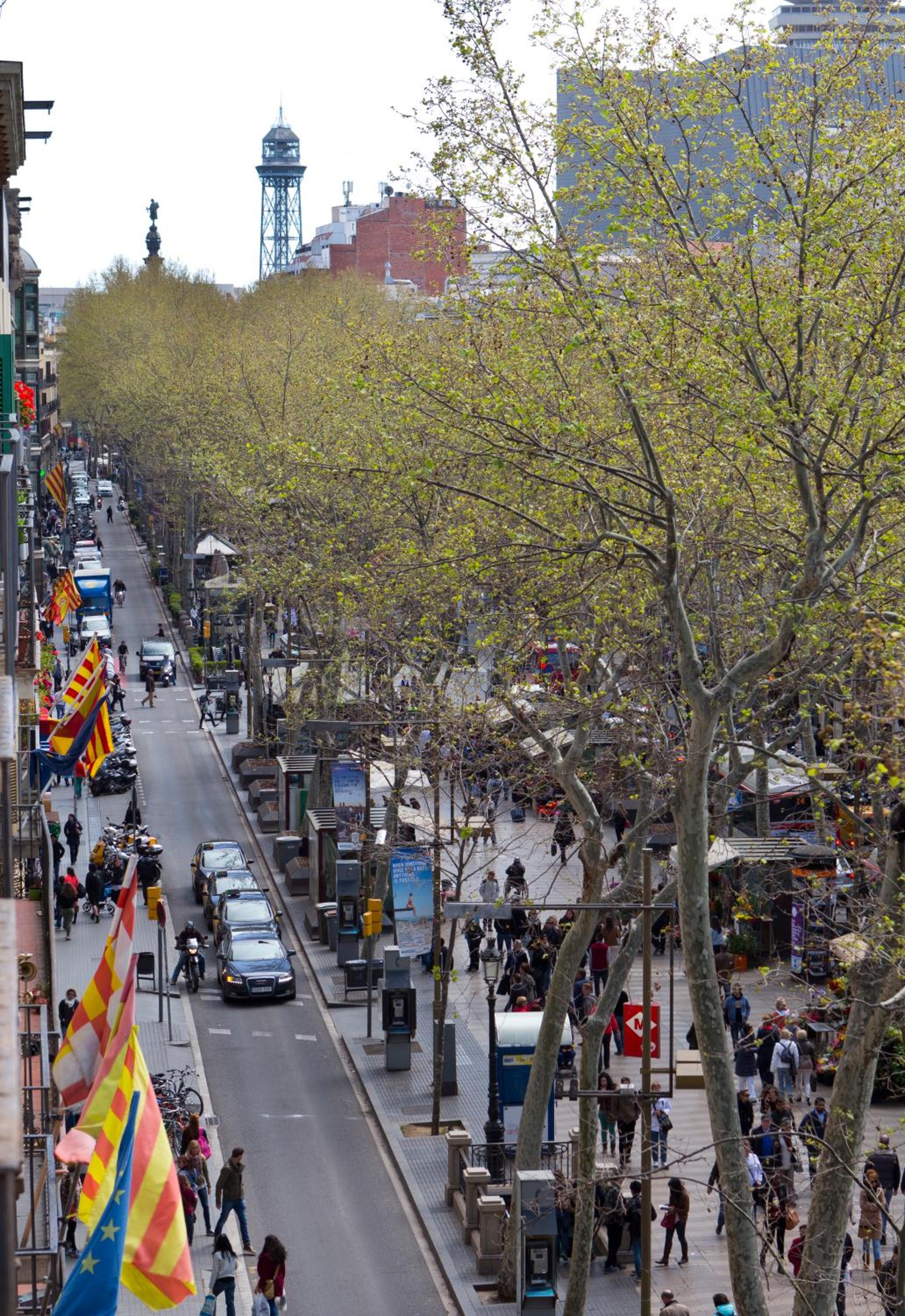 Classic Suite with views to La Rambla photo 3