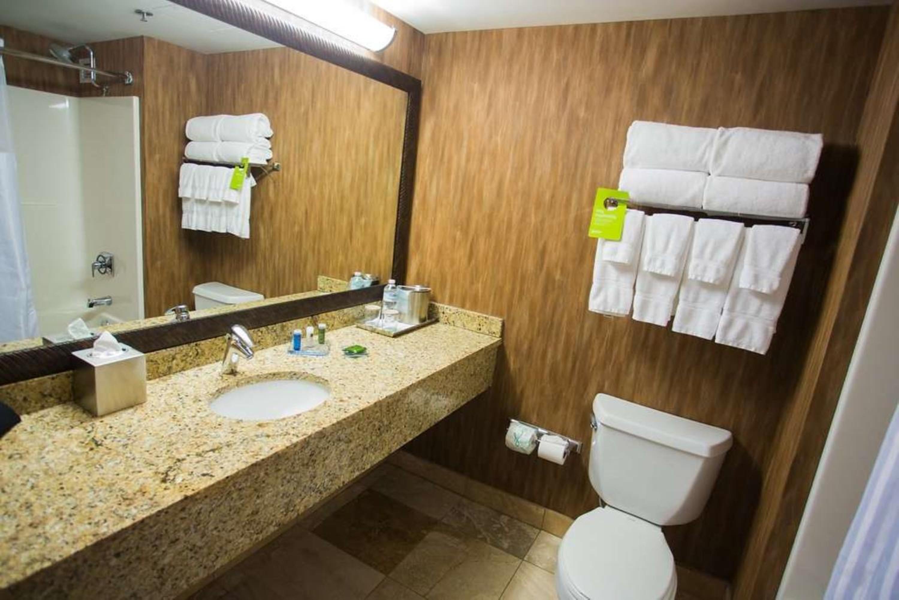 1 King Bed, Premier Suite, Jetted Tub, Non-Smoking - Photo 5