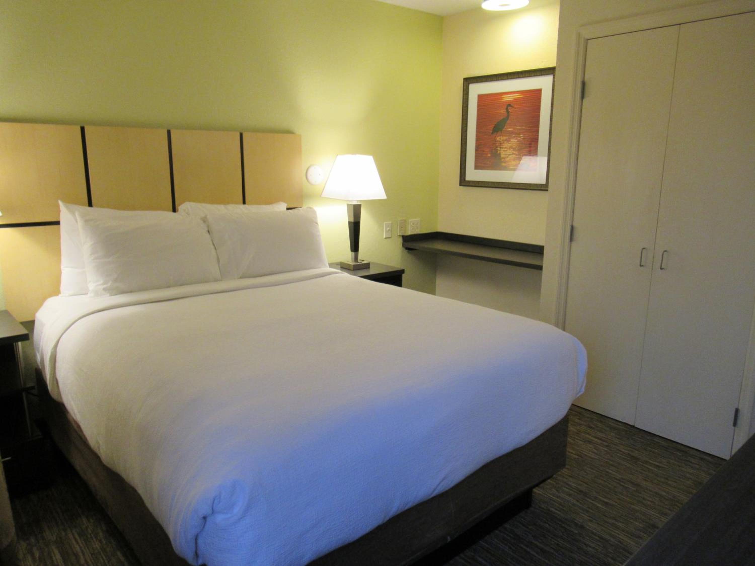 One-Bedroom Queen Suite - Photo 9