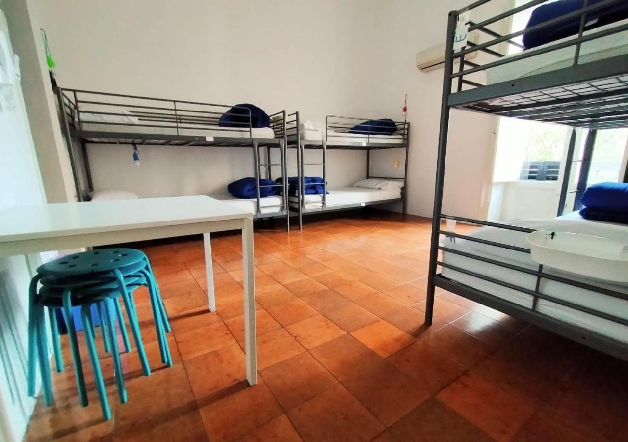 Single Bed in Mixed Dormitory Room photo 3