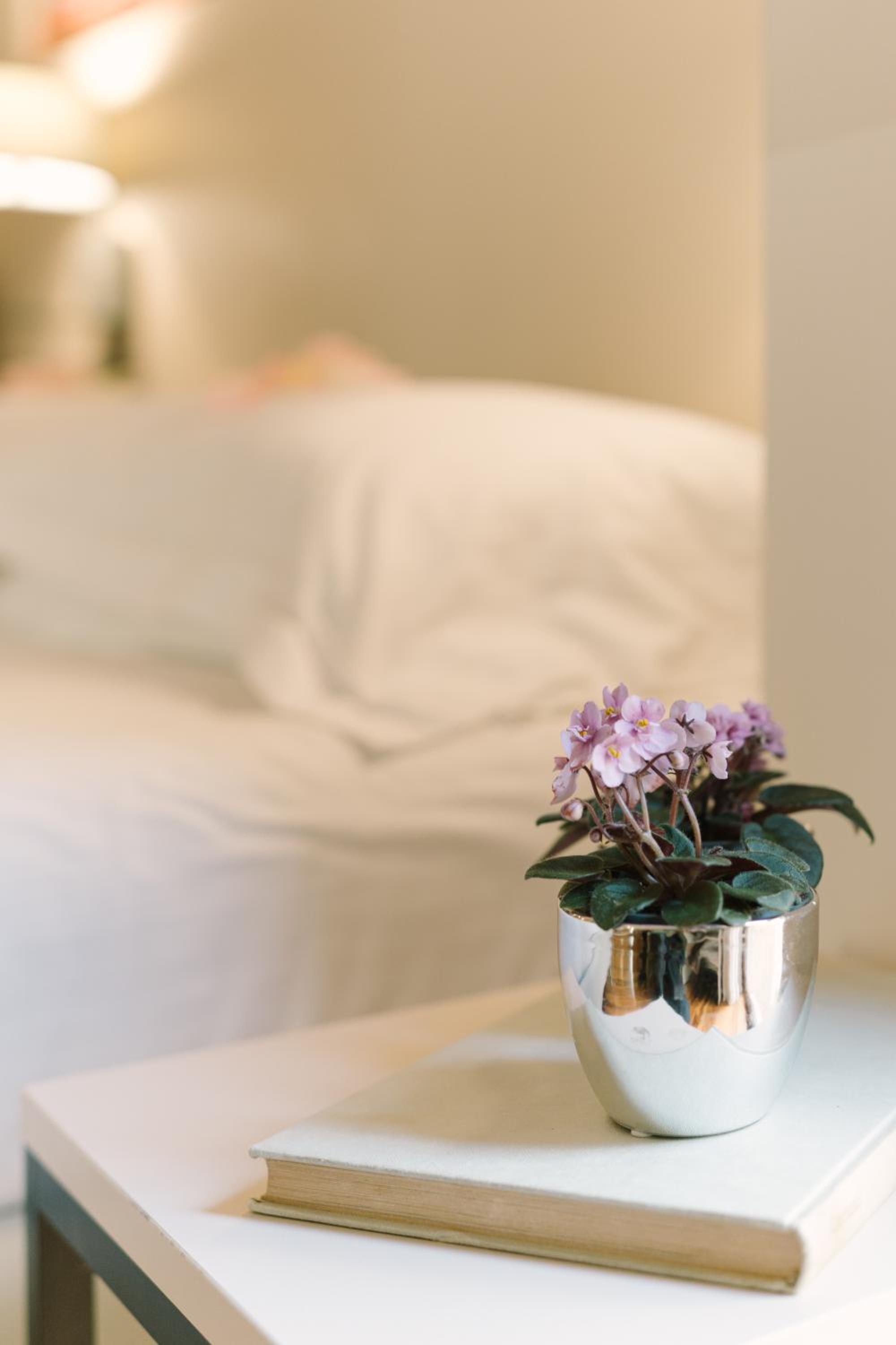Double or Twin Room - Photo 3