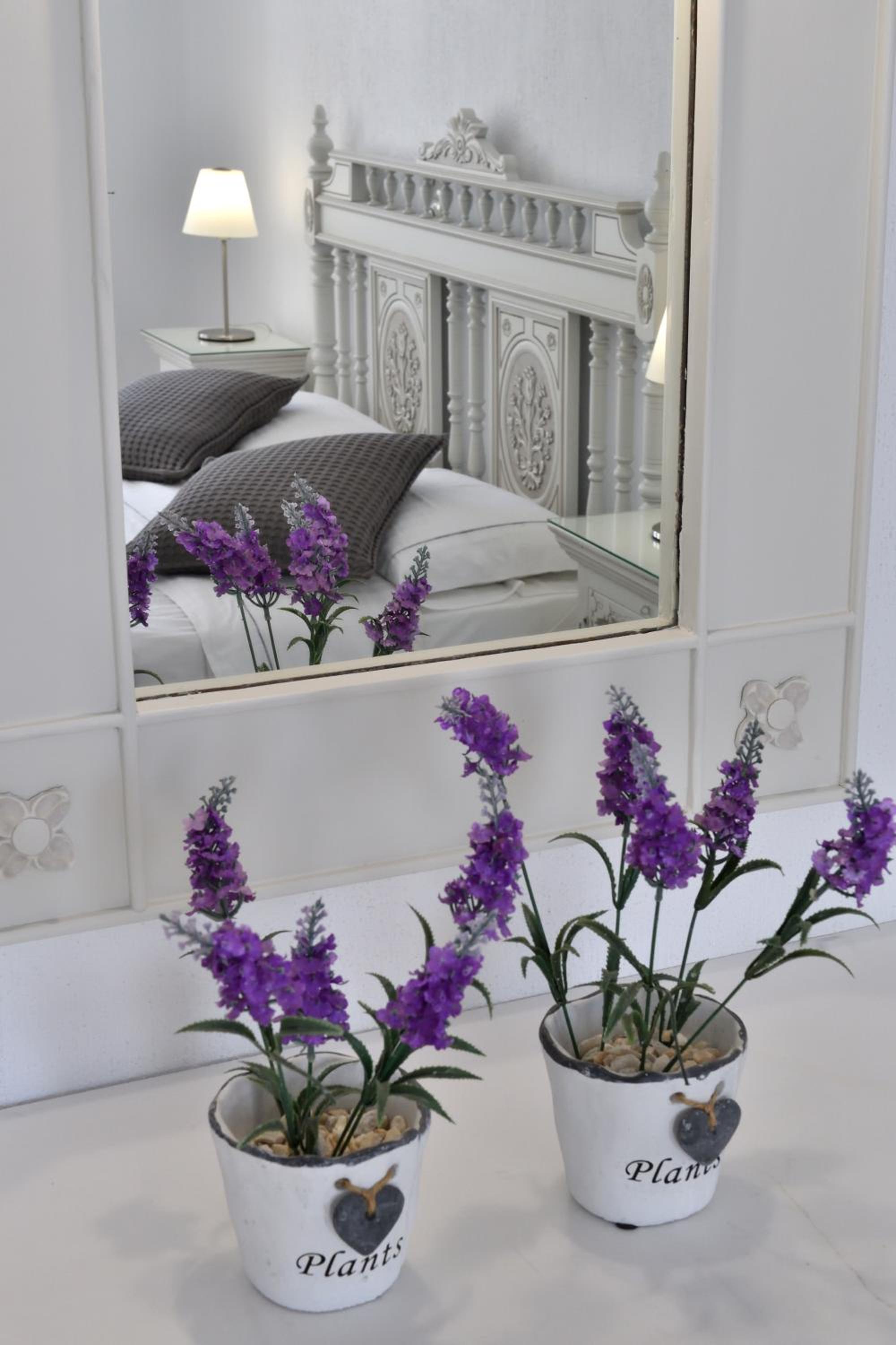 Double Room with Garden View photo 3