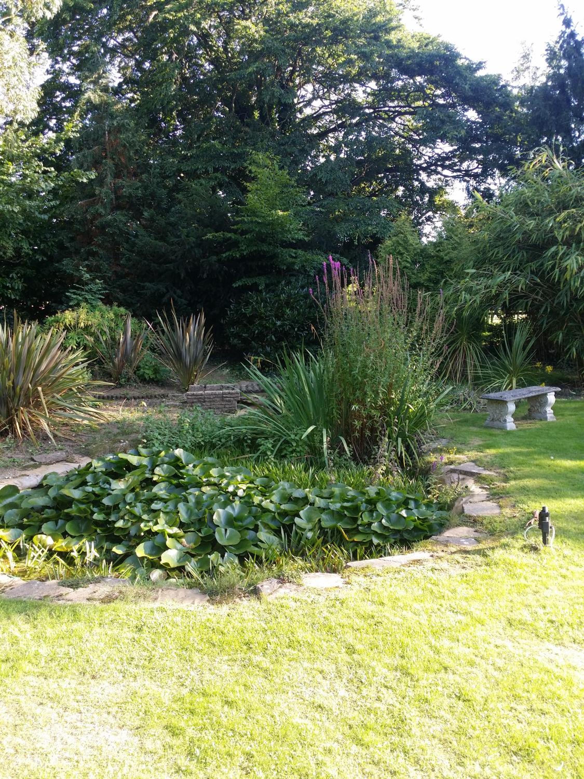 Double Room with Park View photo 2