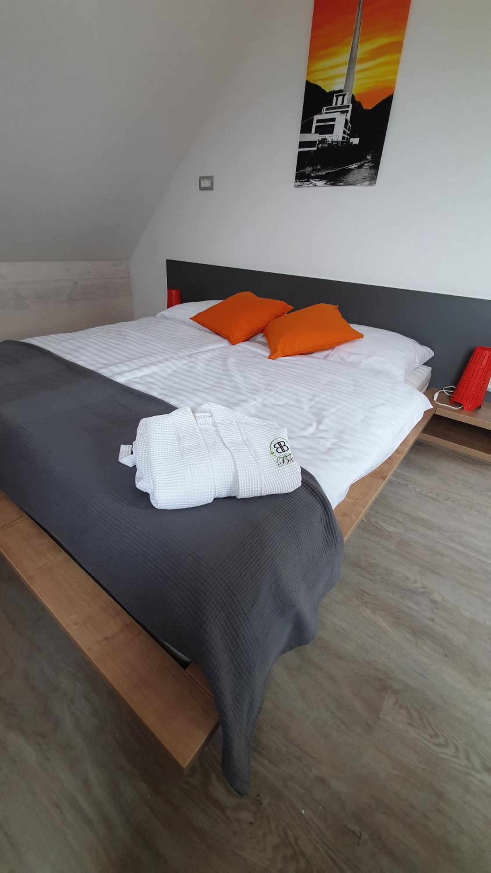 One-Bedroom Apartment with Balcony - Loft photo 3