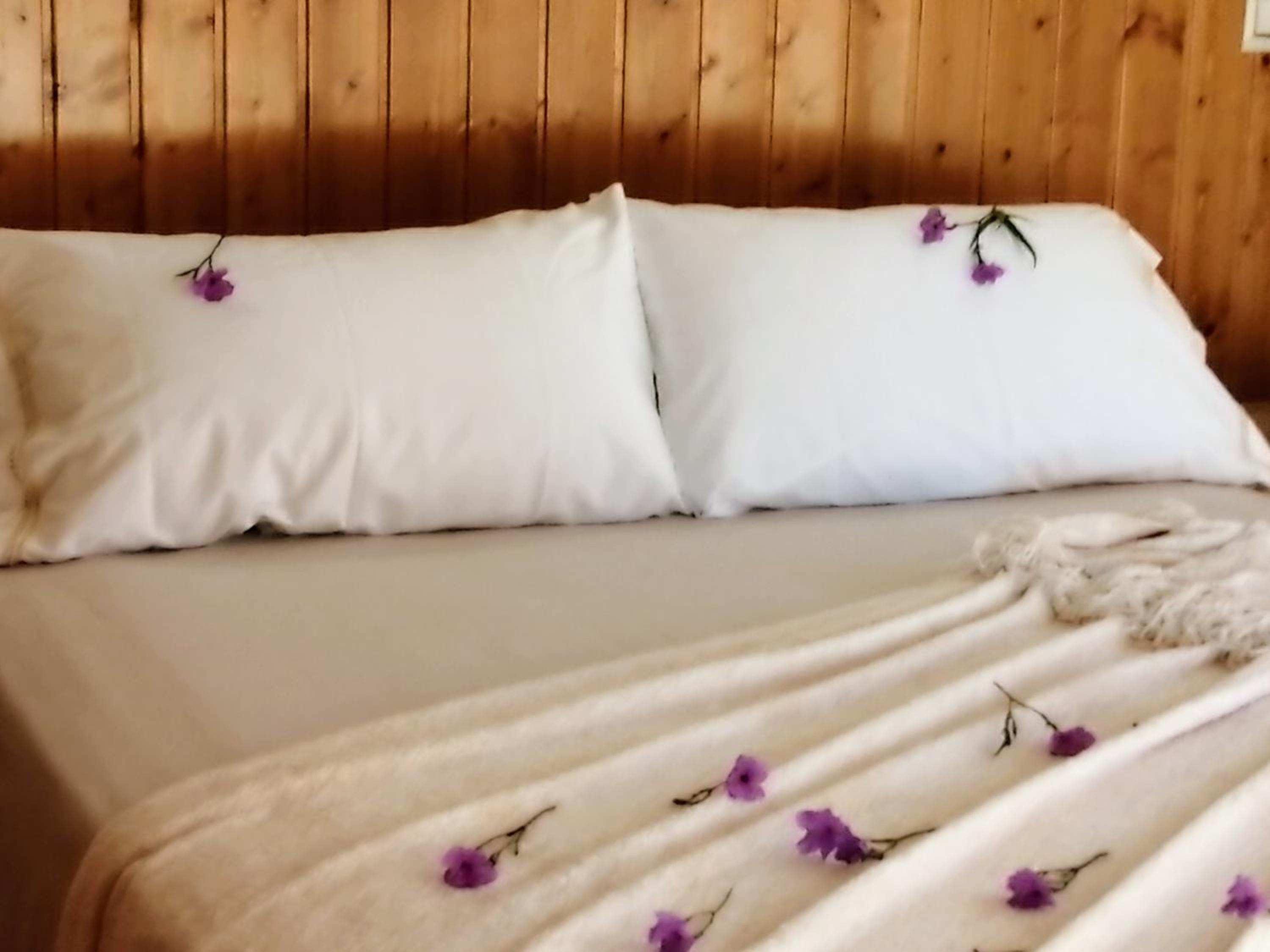 Casa de Vacaciones
