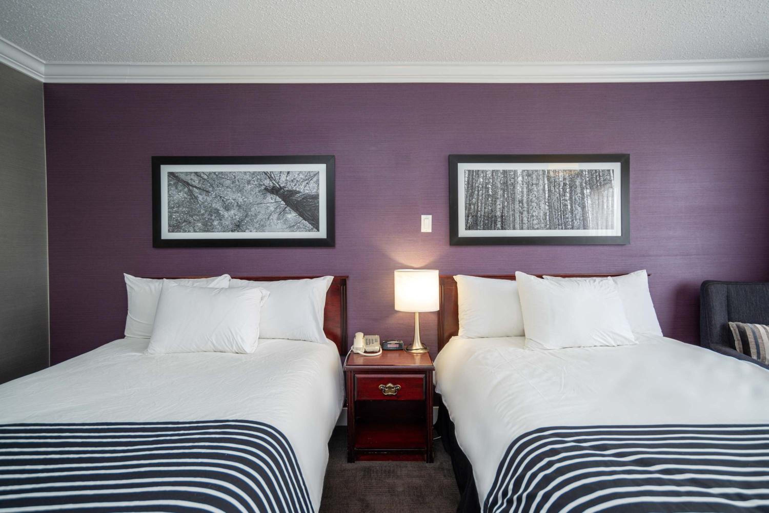 Standard Room, 2 Double Beds - Photo 4