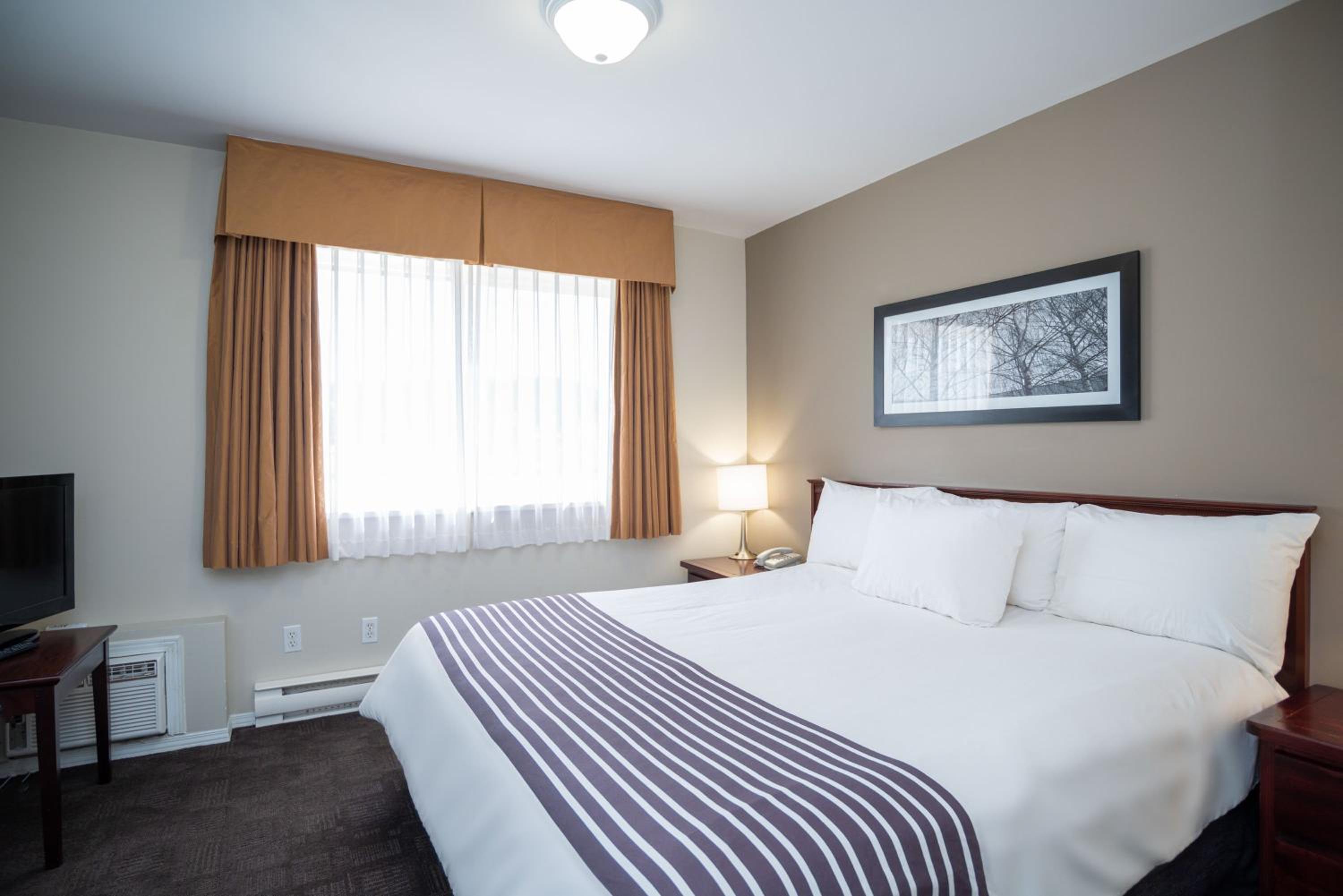 Standard Suite, 1 King Bed, Sofa Bed, Kitchen - Photo 1