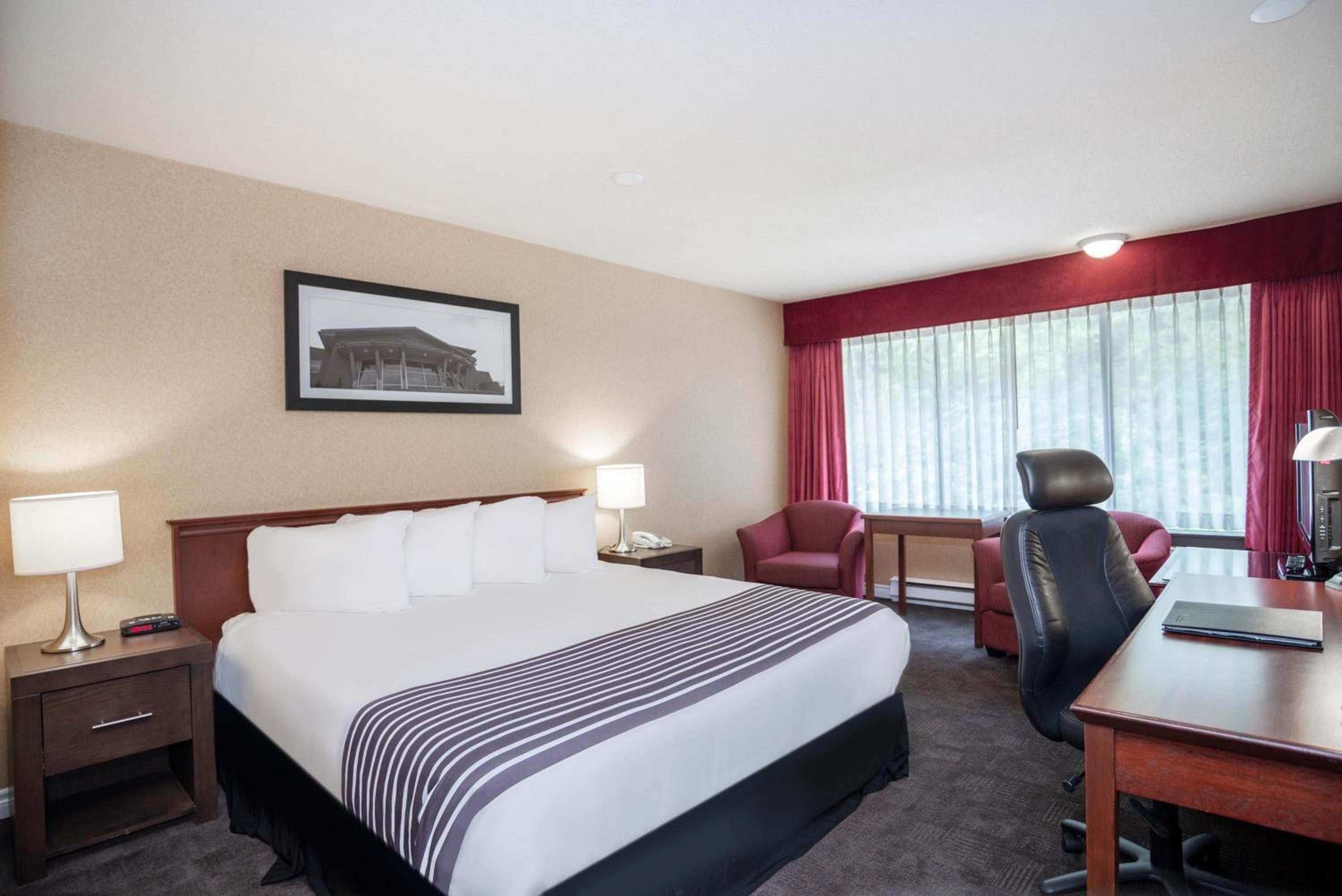 Standard Room, 1 King Bed - Photo 1