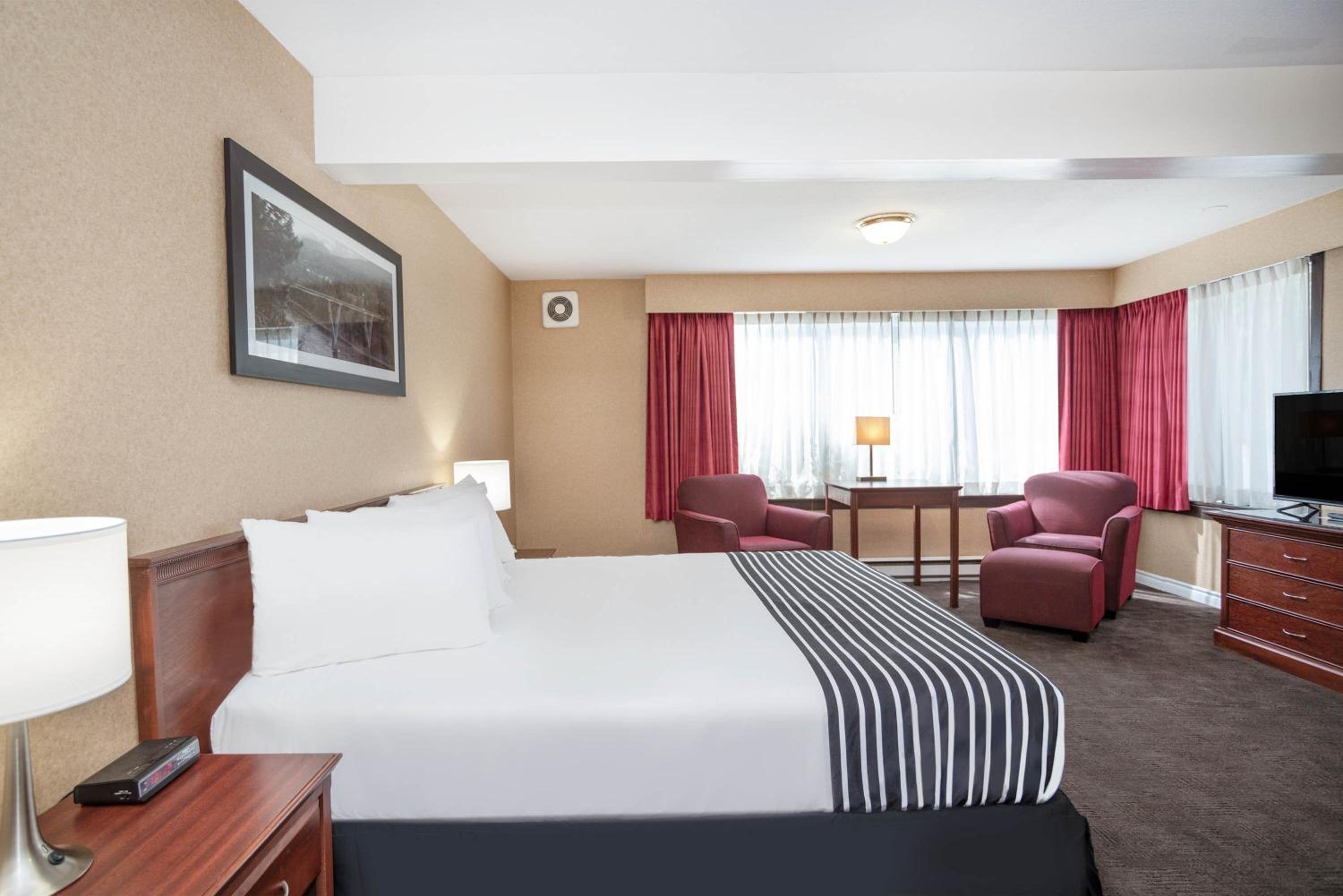 Standard Room, 1 King Bed, Sofa Bed - Photo 1