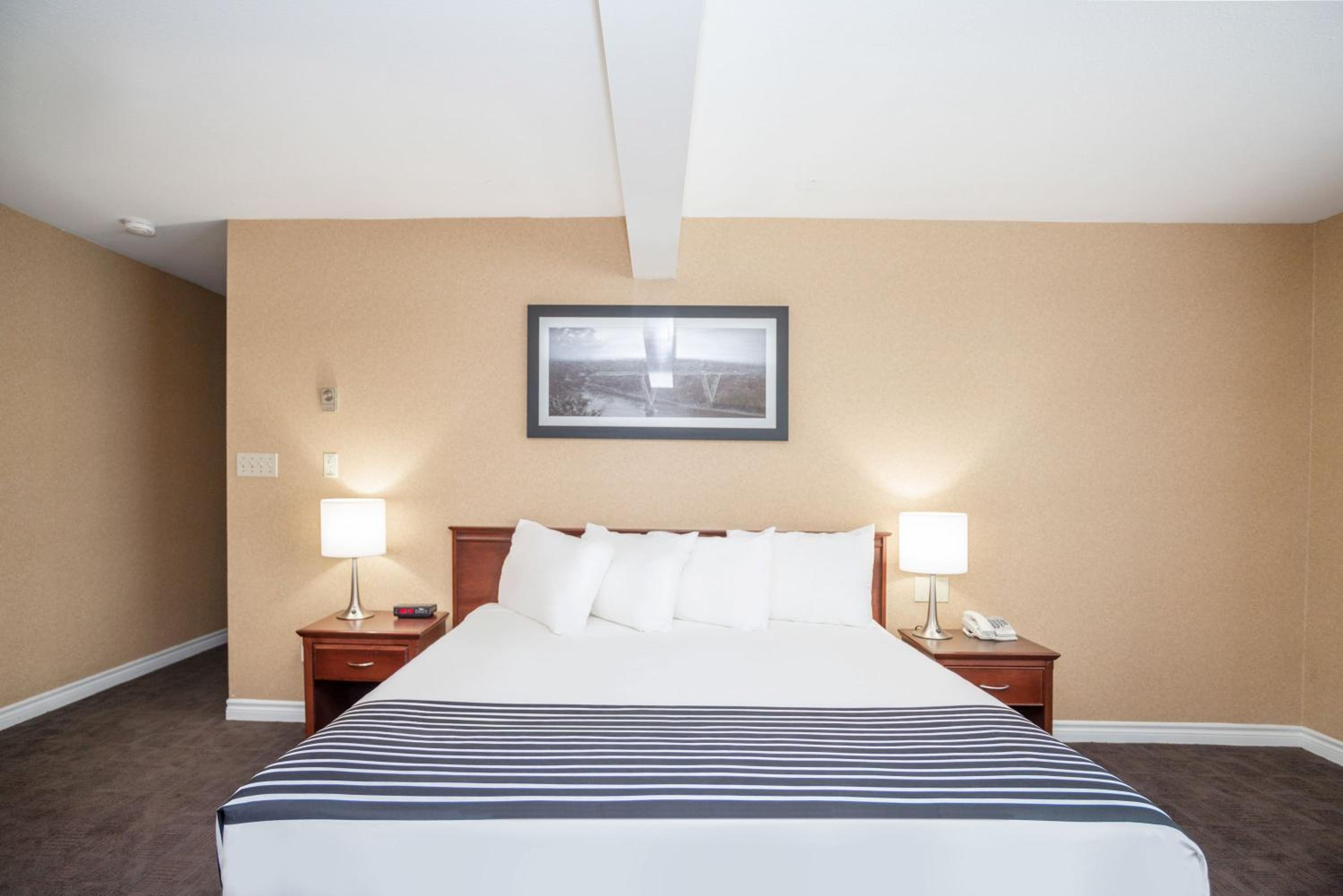 Standard Room, 1 King Bed, Sofa Bed - Photo 4