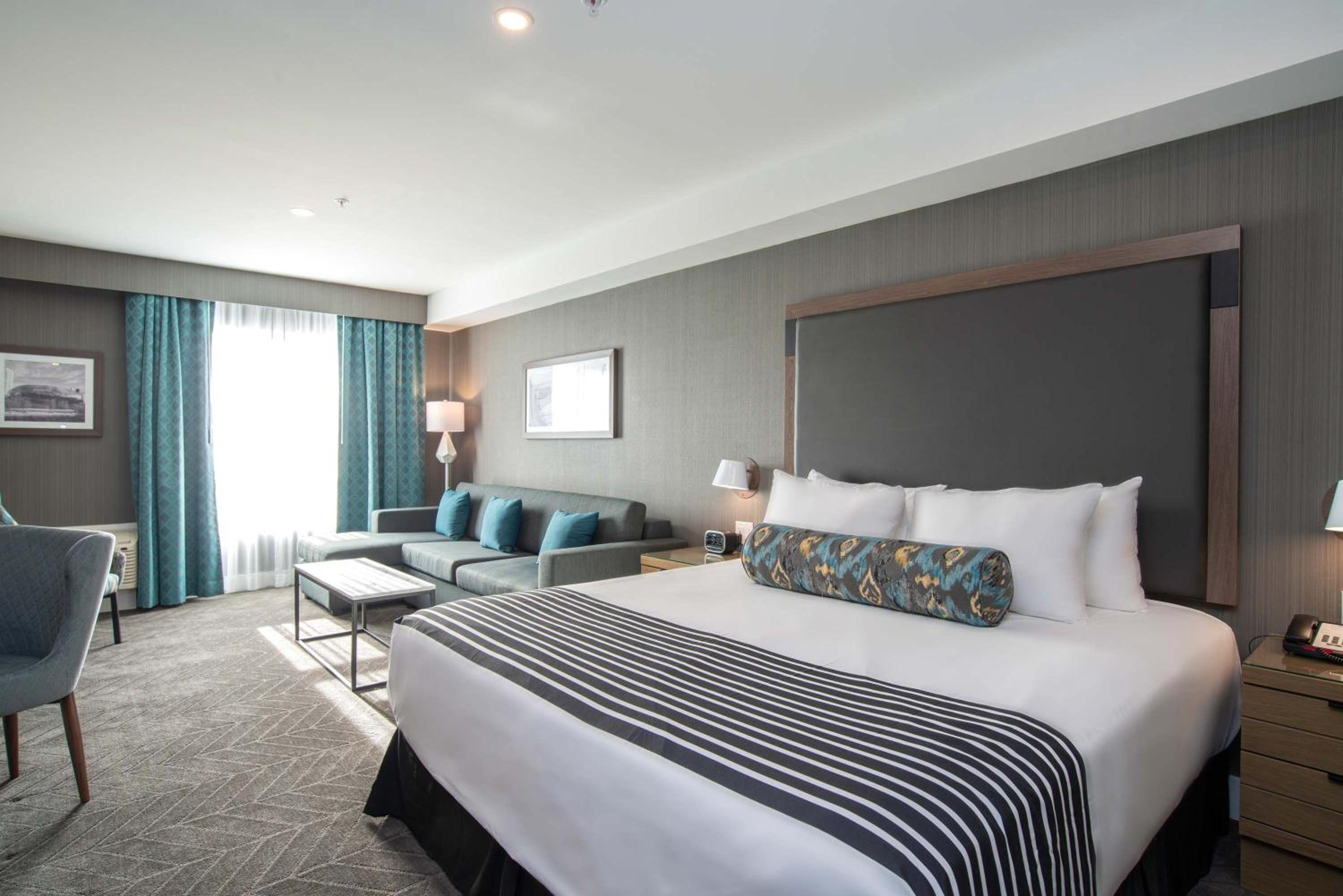 Standard Room, 1 King Bed, Sofa Bed