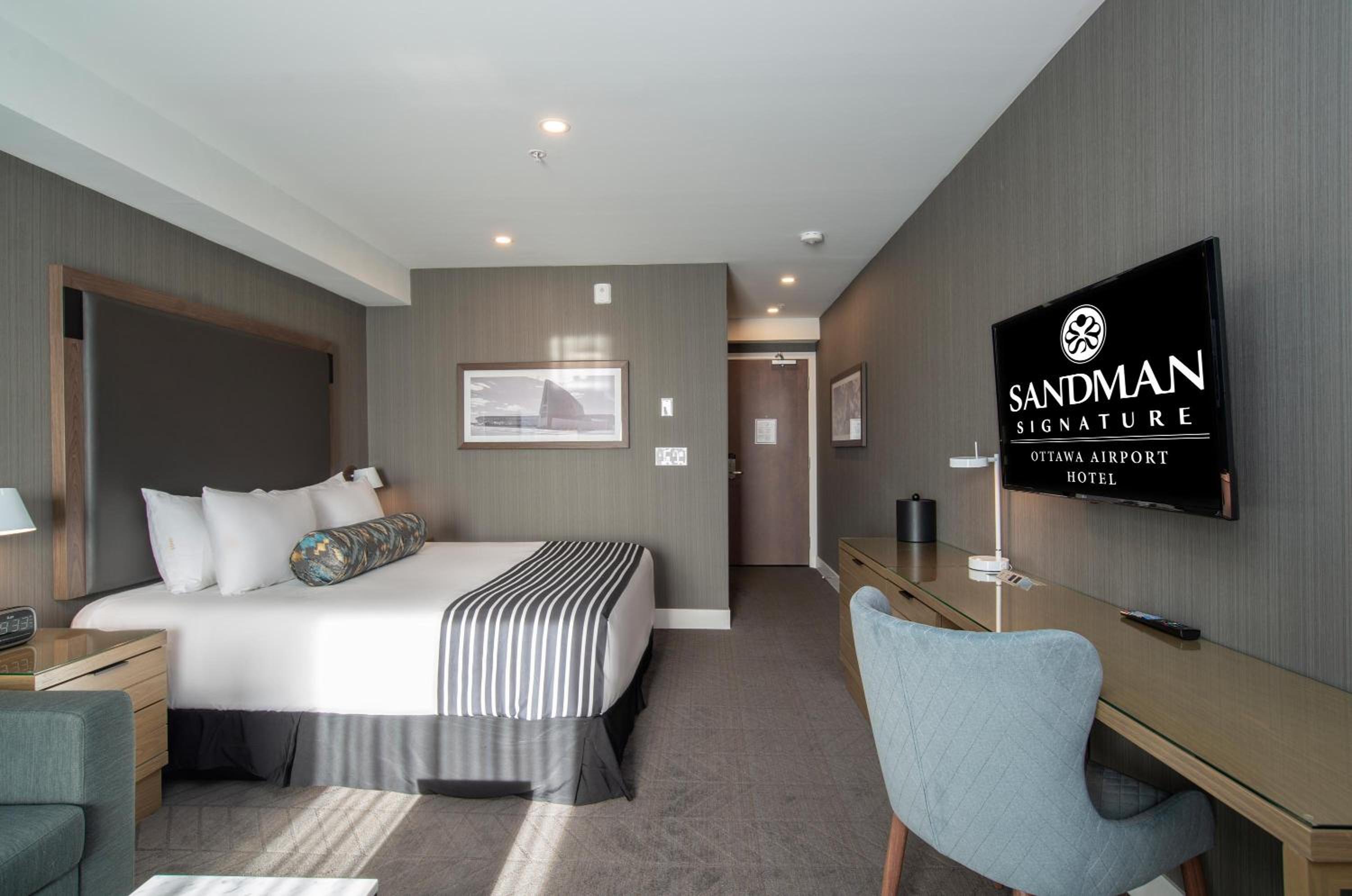 Standard Room, 1 King Bed, Sofa Bed