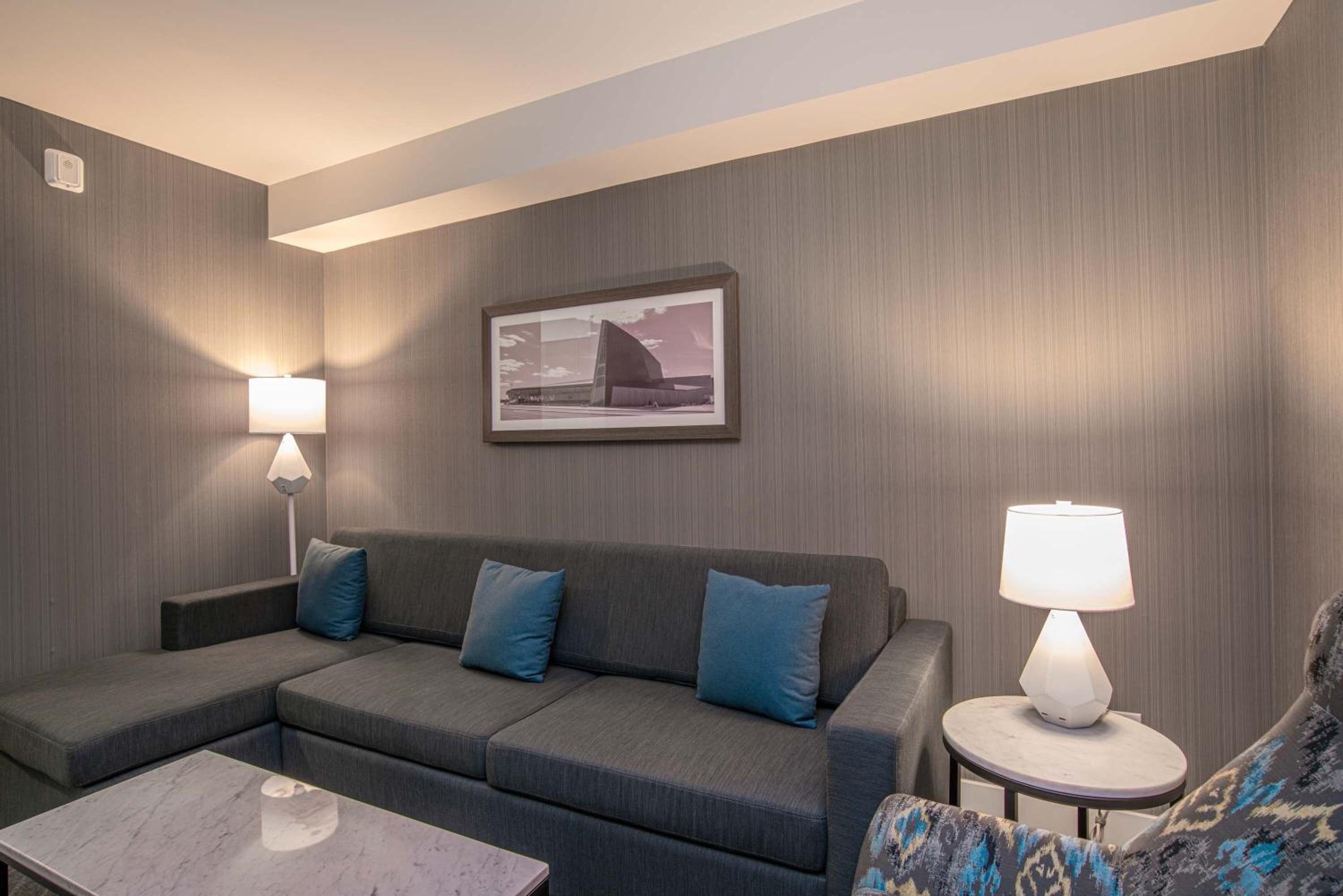 Standard Suite, 1 King Bed, Sofa Bed, Kitchenette