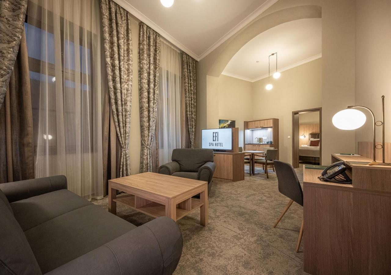 Deluxe Junior Suite with Spa Access photo 1