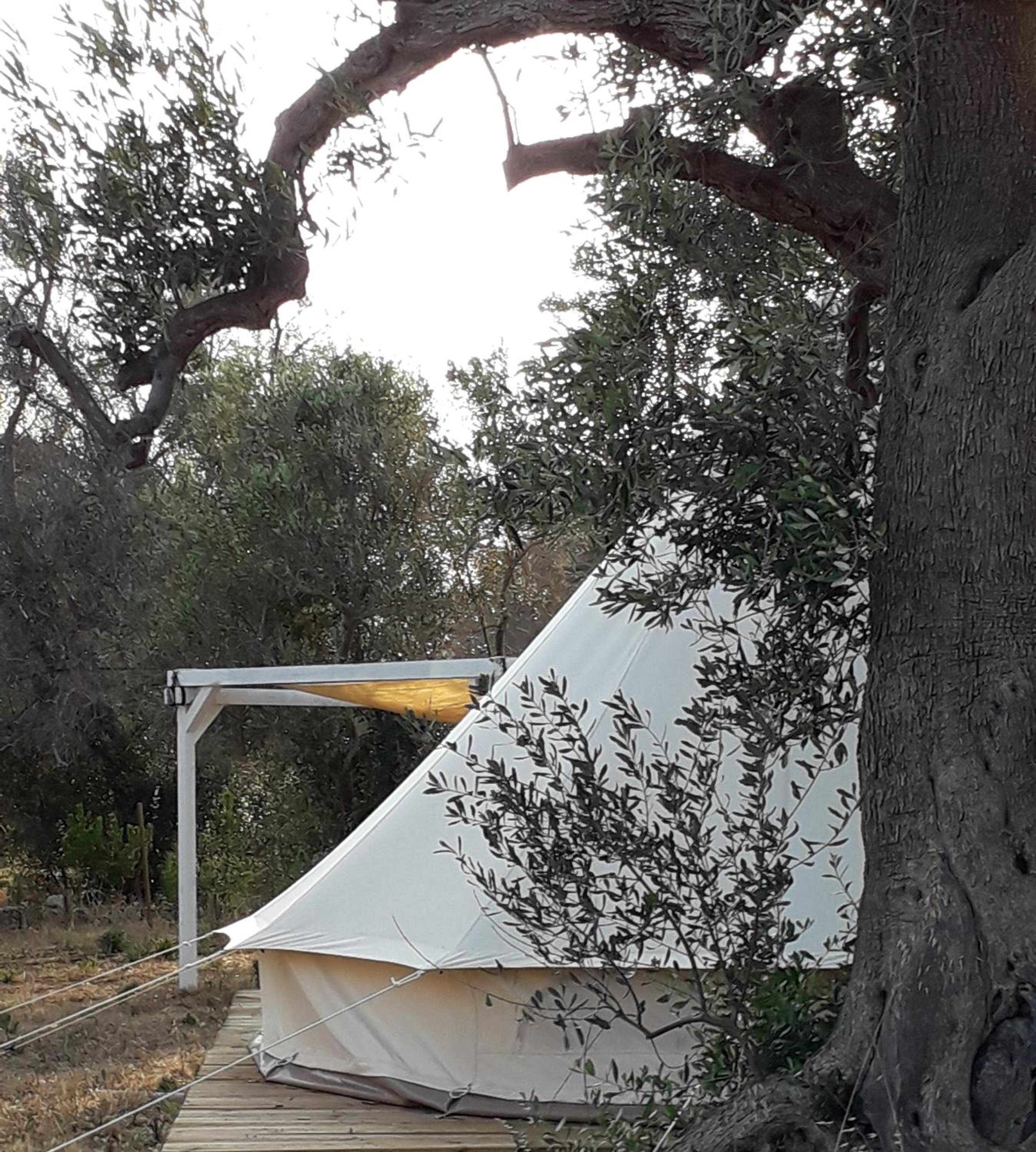 Superior Tent photo 2
