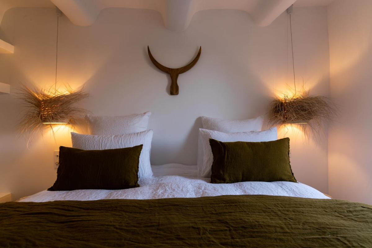 Suite - Photo 2