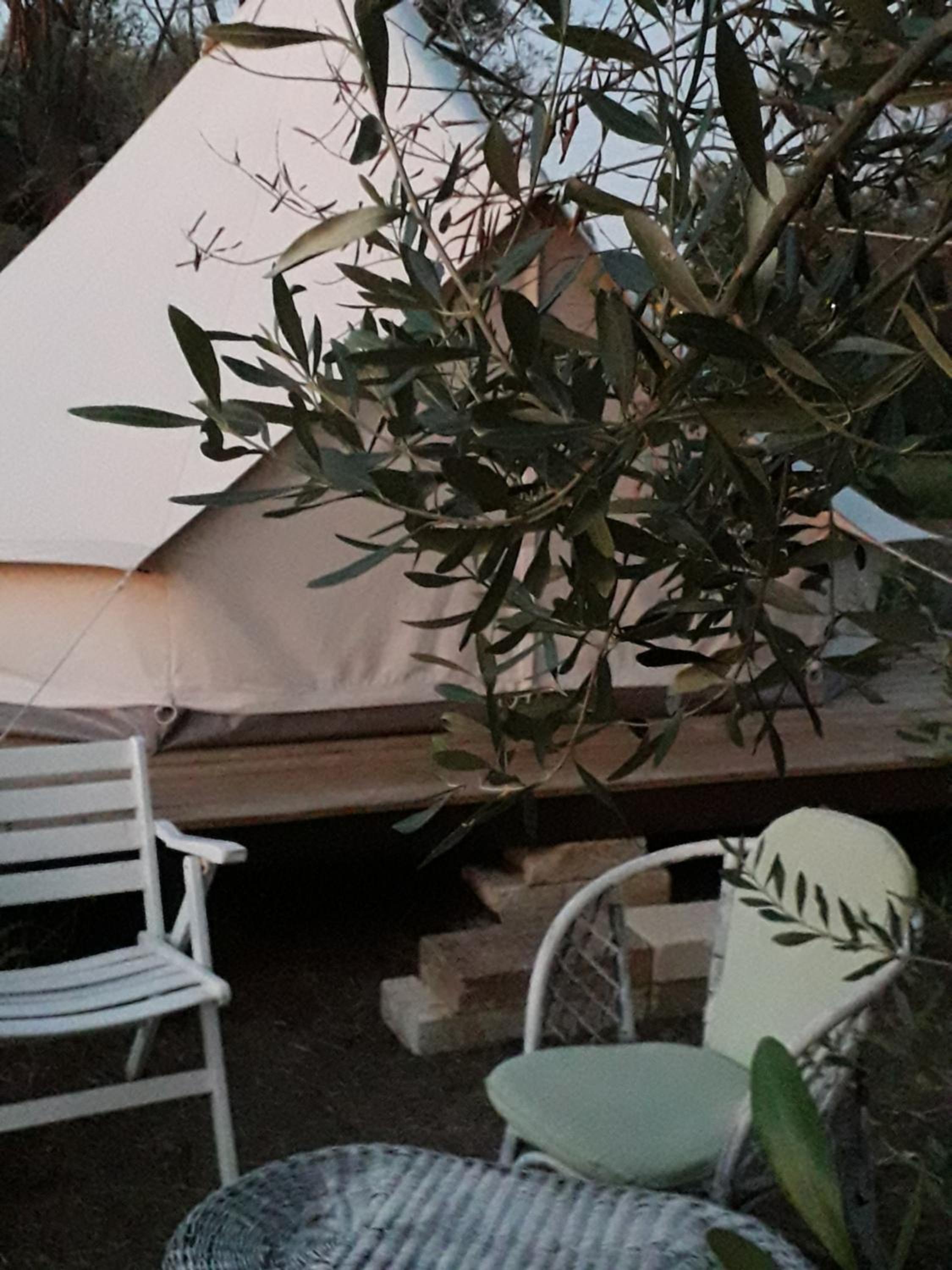 Comfort Tent photo 2