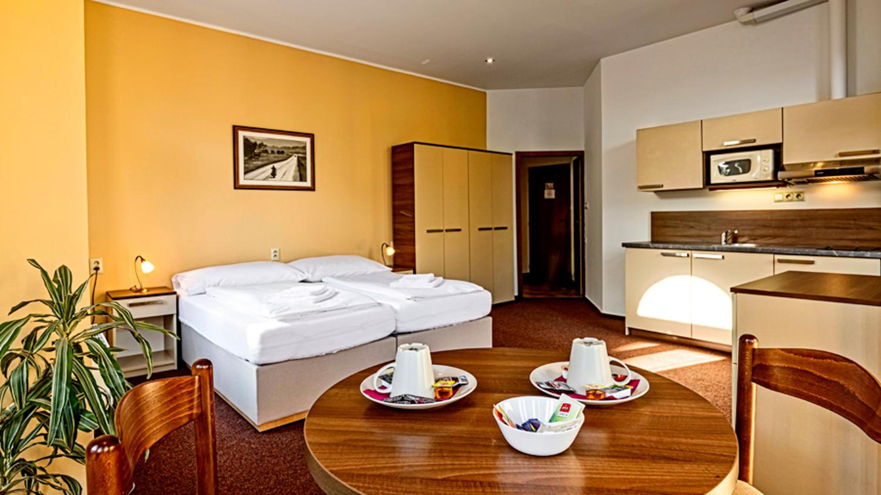 Business Double or Twin Room photo 1