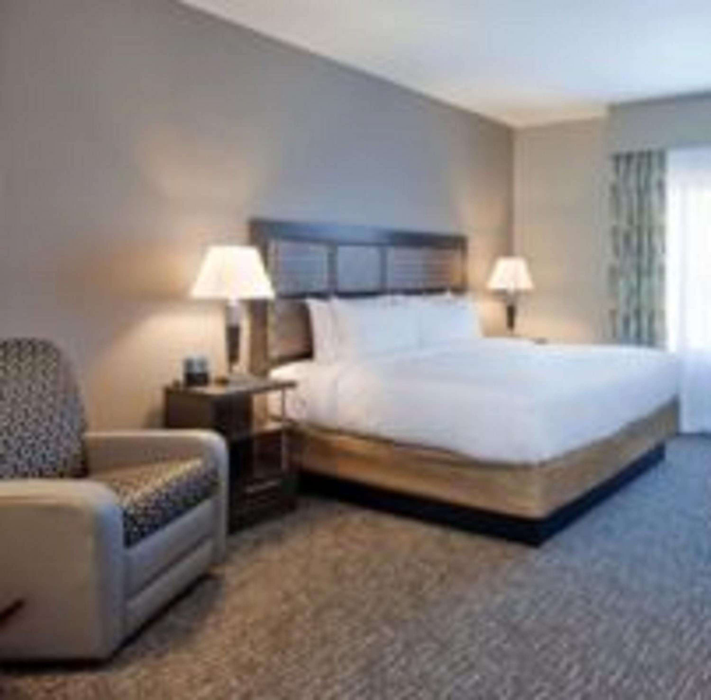 One-Bedroom Suite photo 1