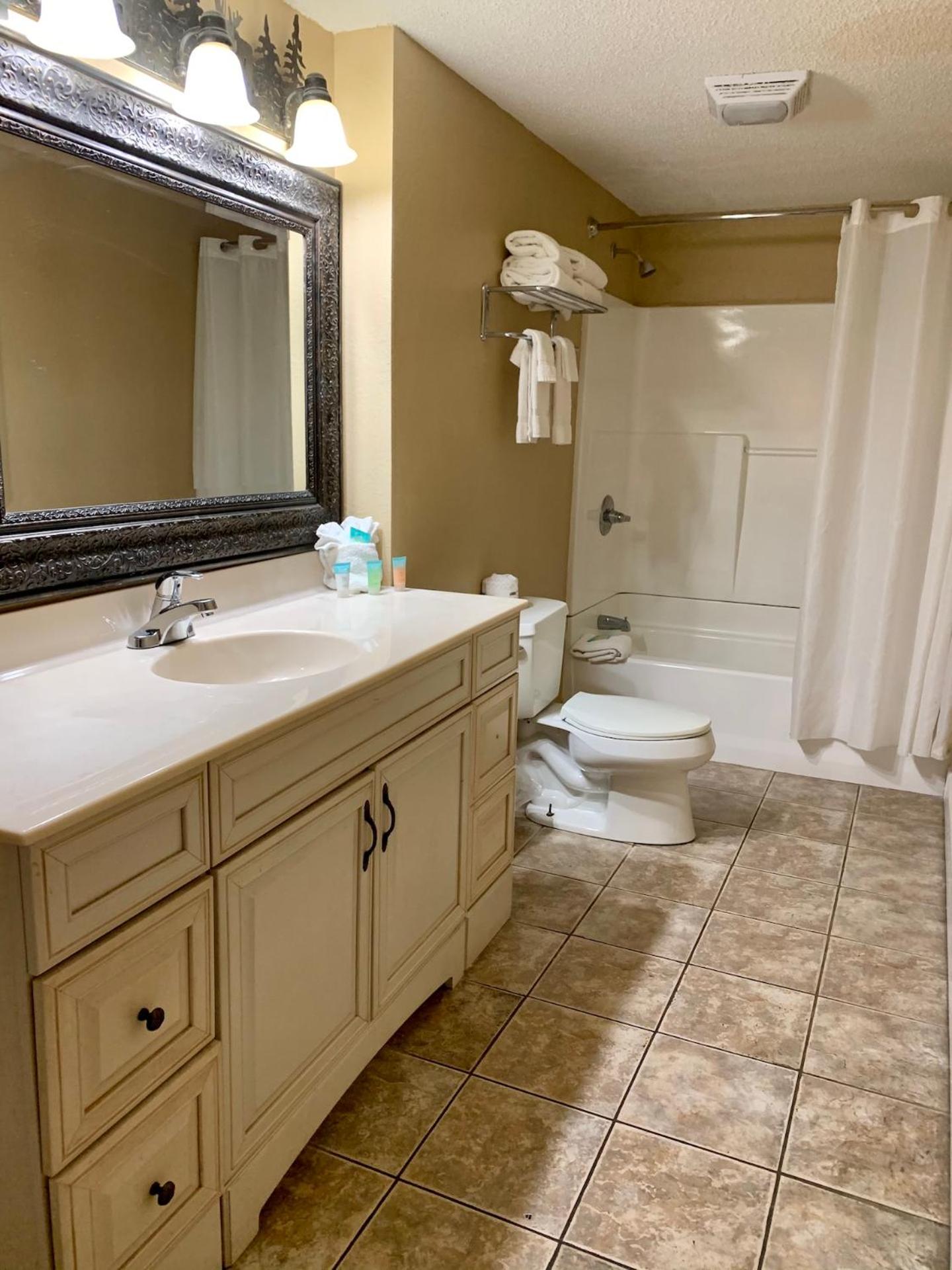 Deluxe Queen Suite - Photo 7