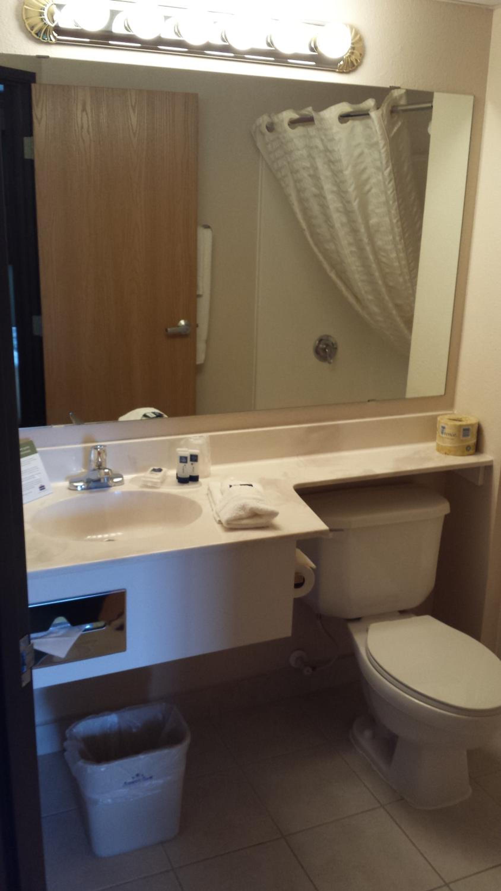 Deluxe King Suite - Non-Smoking photo 3